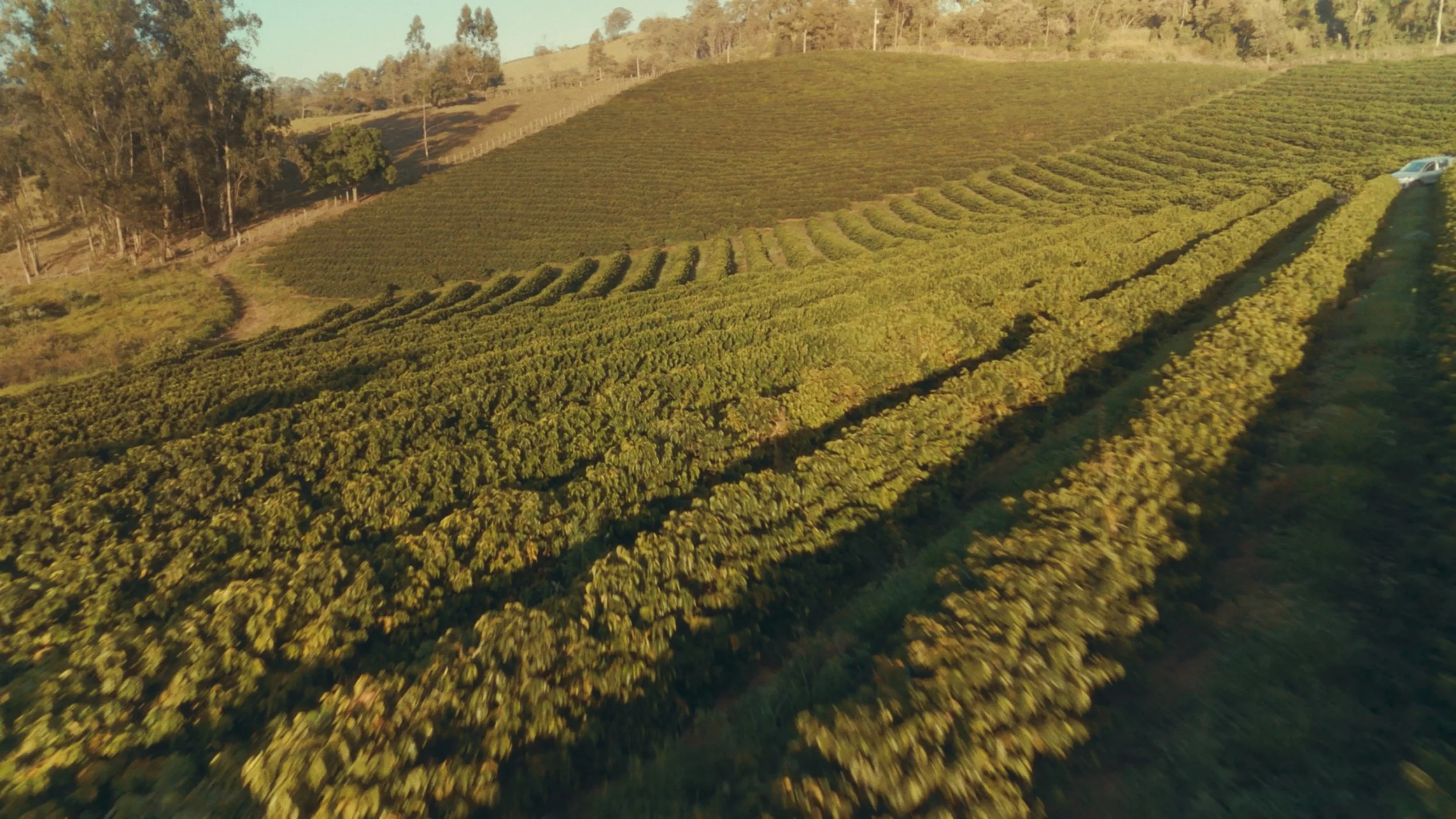 Timeline 3_01_29_23_04.jpg