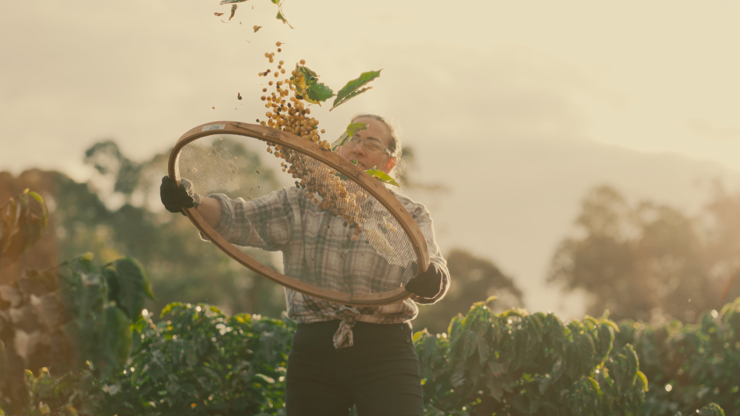 Timeline 4_01_16_59_15.jpg