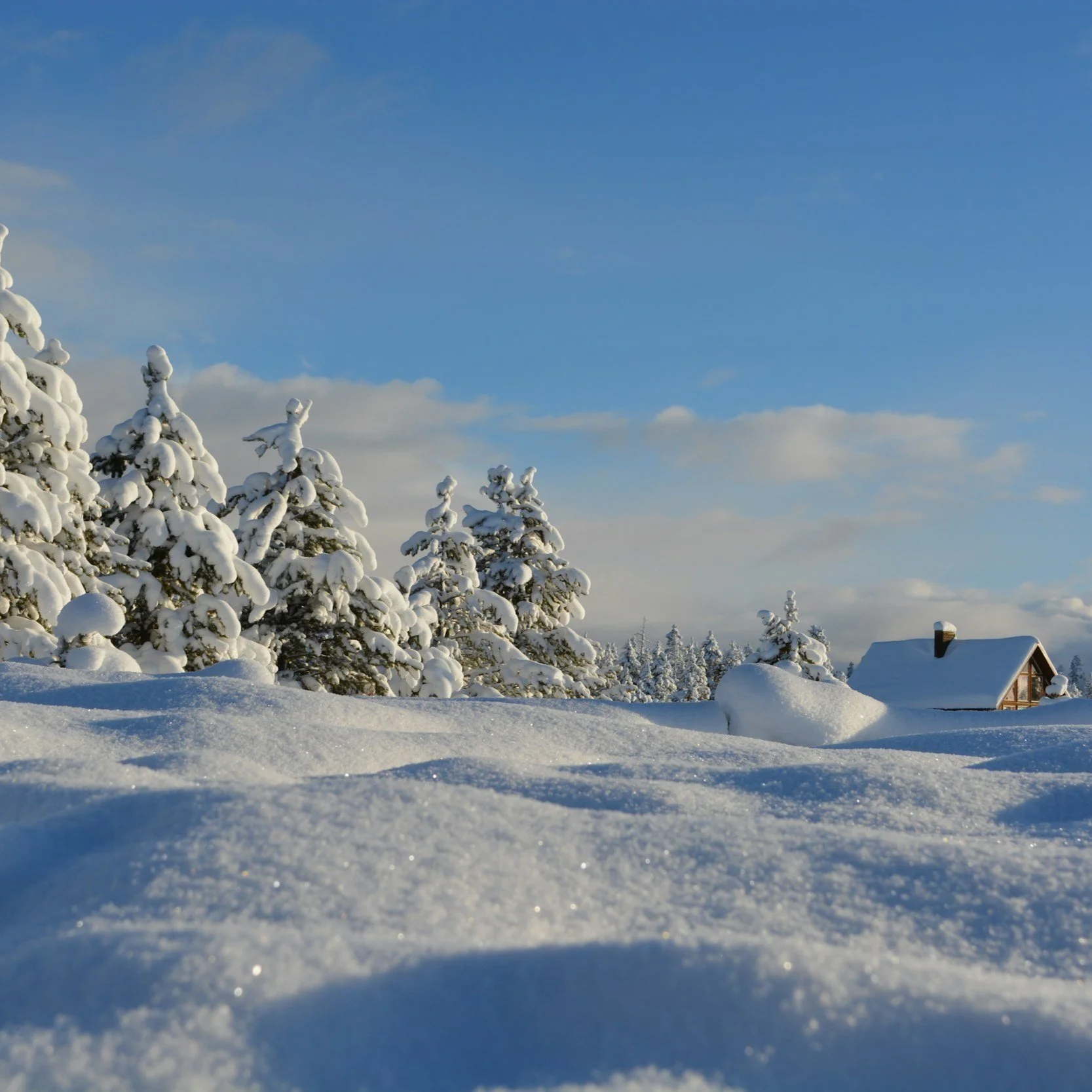 evri weather update