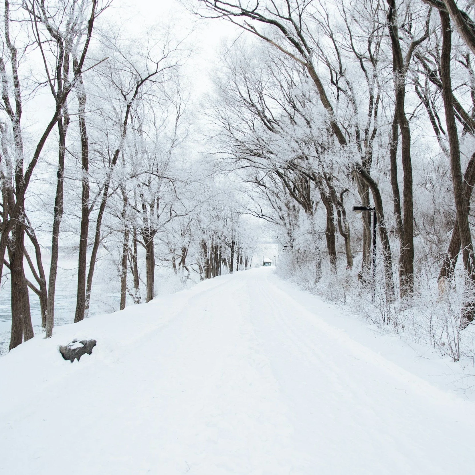 DPD Weather update