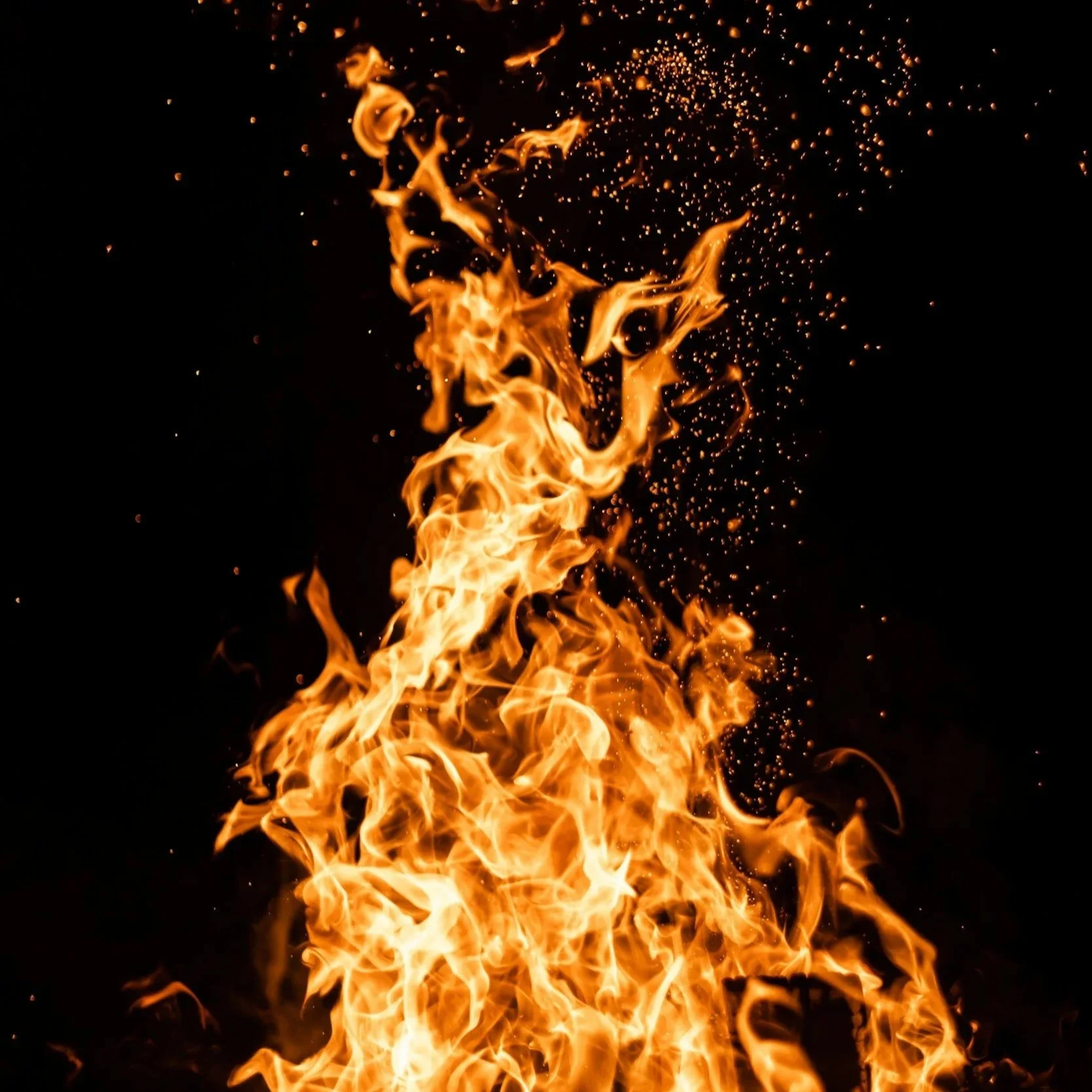 Wild fires