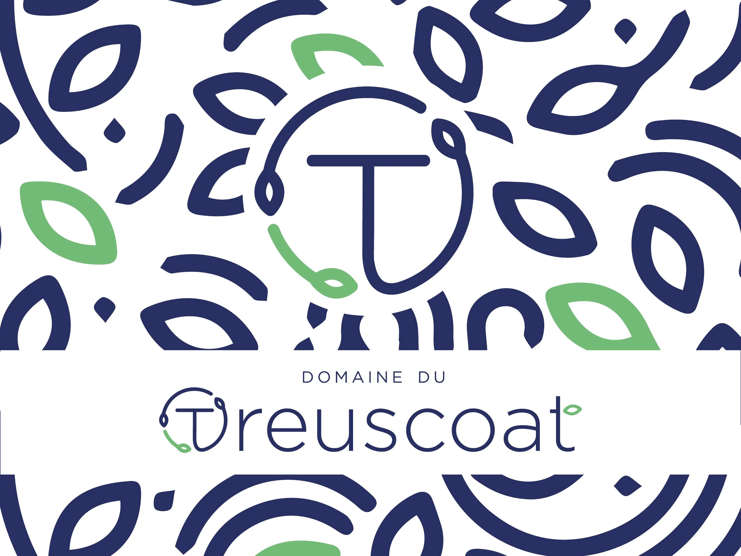 juliannehuon_domaine_du_treuscoat10.jpg