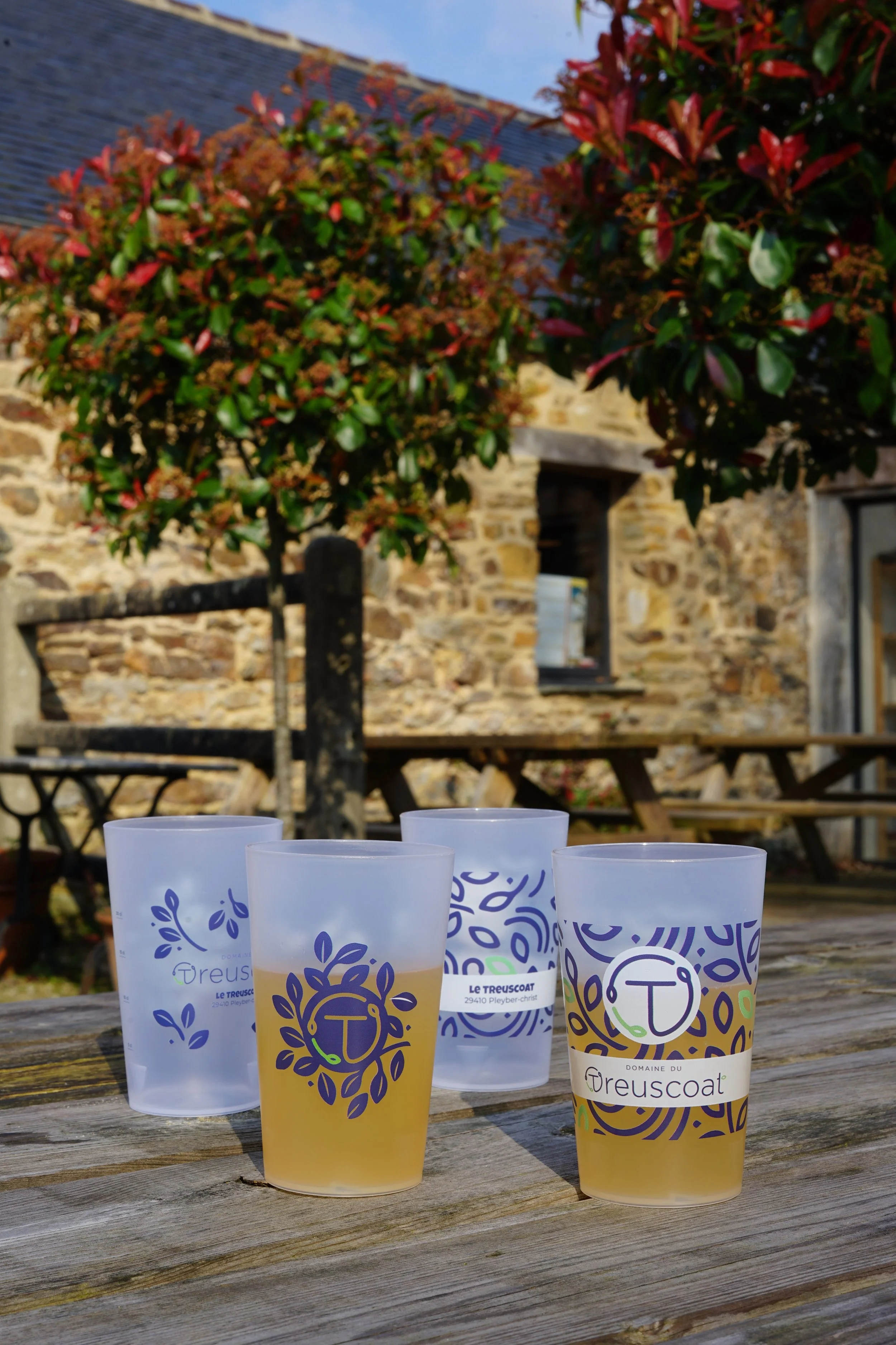 eco cup Treuscoat.jpeg