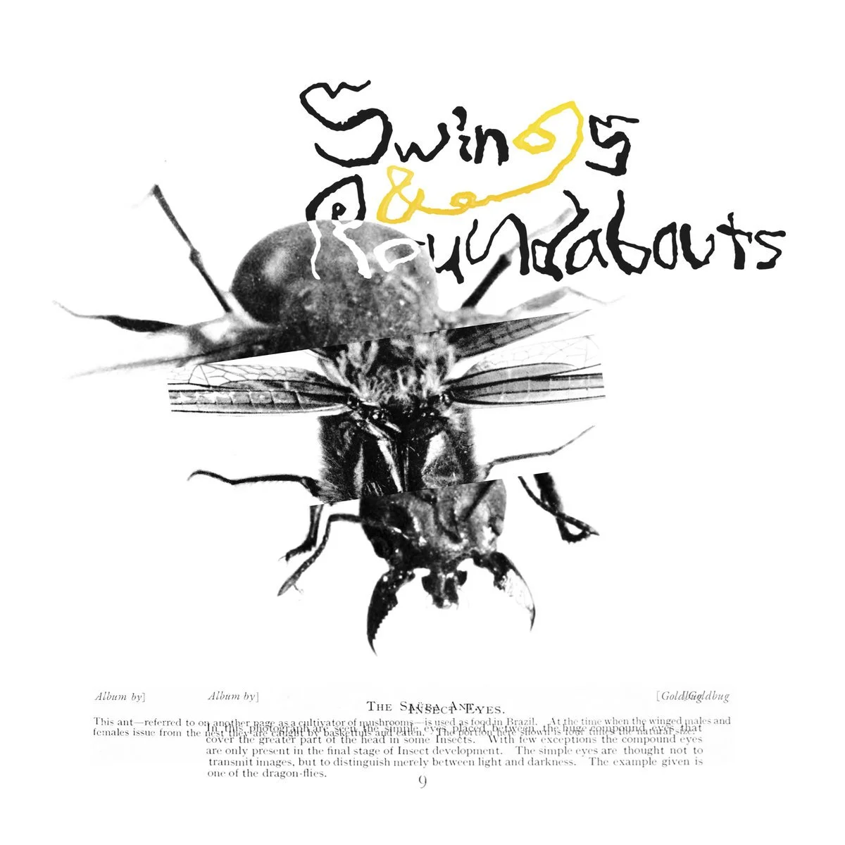 Swings and Roundabouts - Goldbug