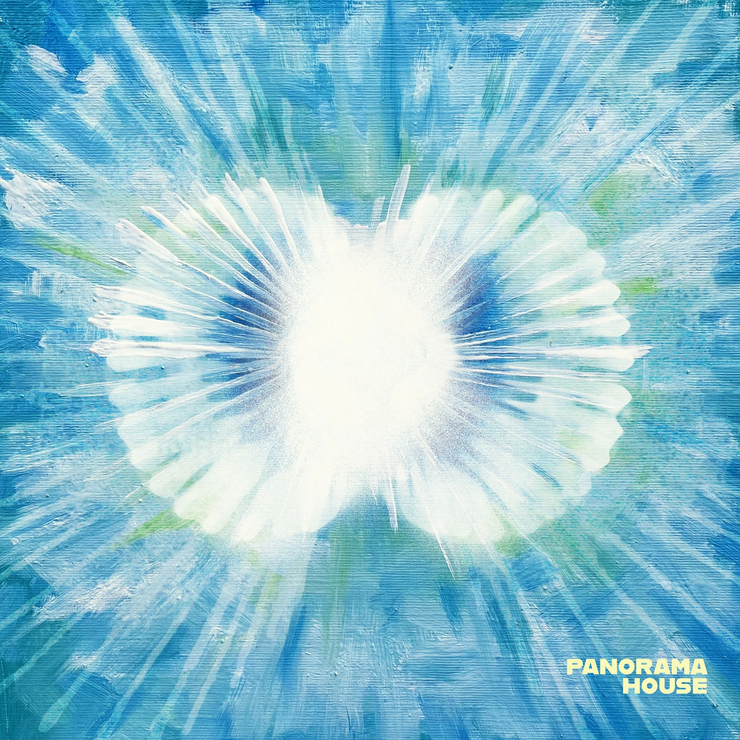 PANORAMA HOUSE - COLD CONFUSION 