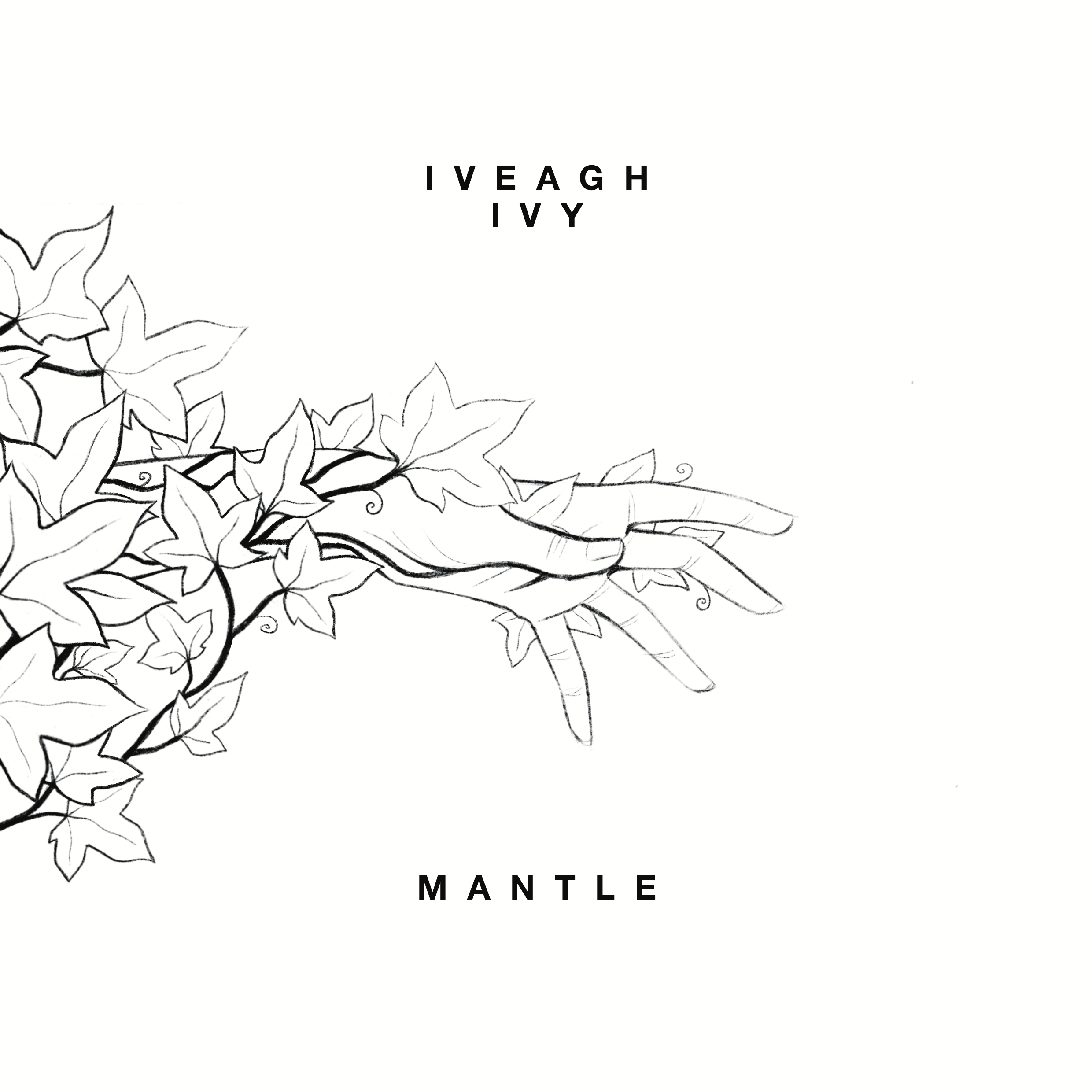 Mantle - Iveagh, Ivy