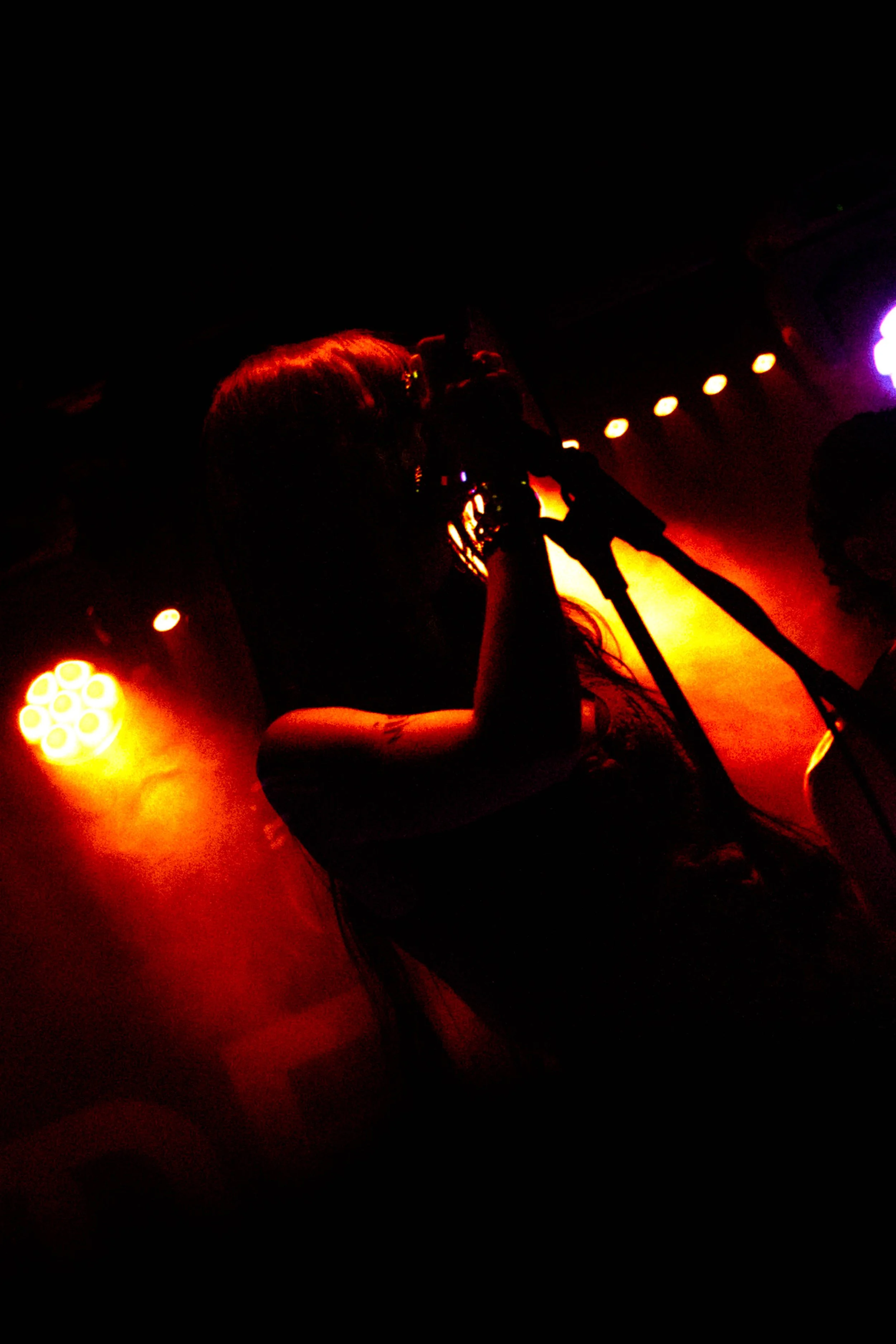 affection to rent (5).jpg