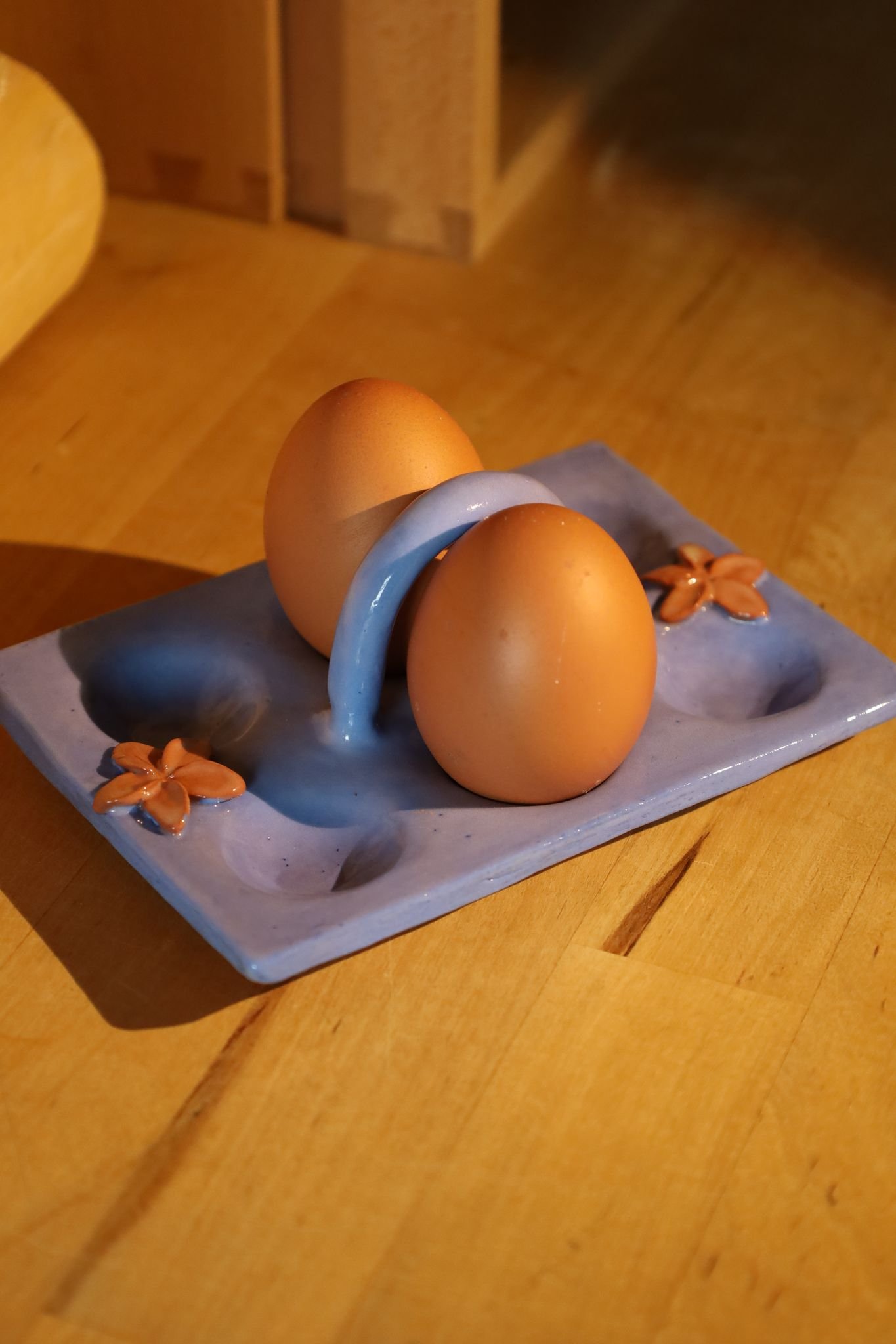 Plateau de Rangement pour Œufs