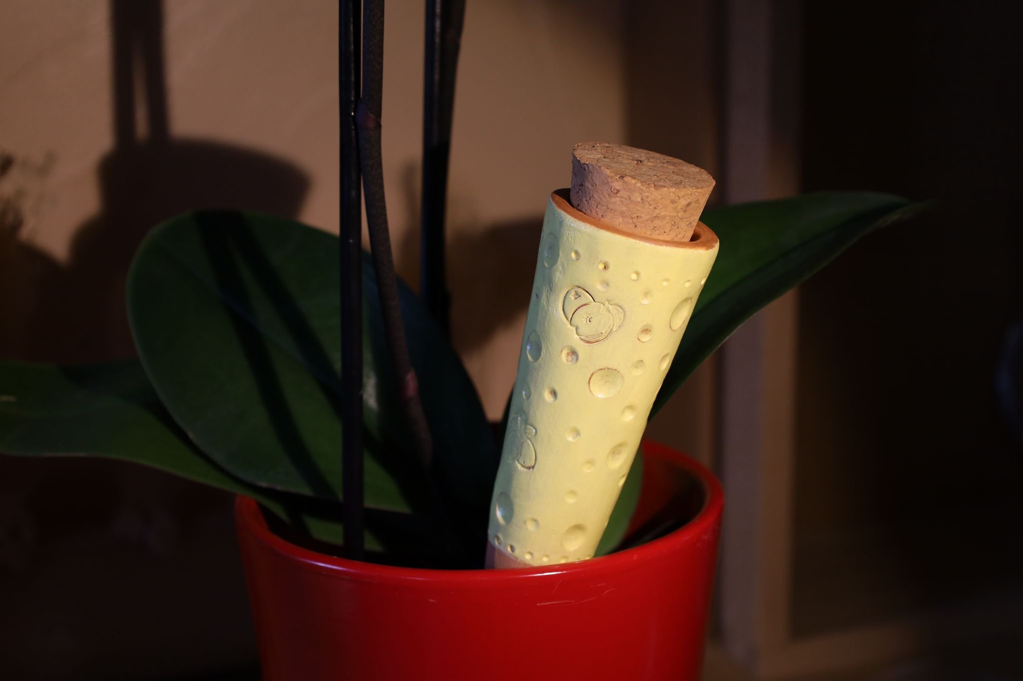 Diffuseur d’eau naturel