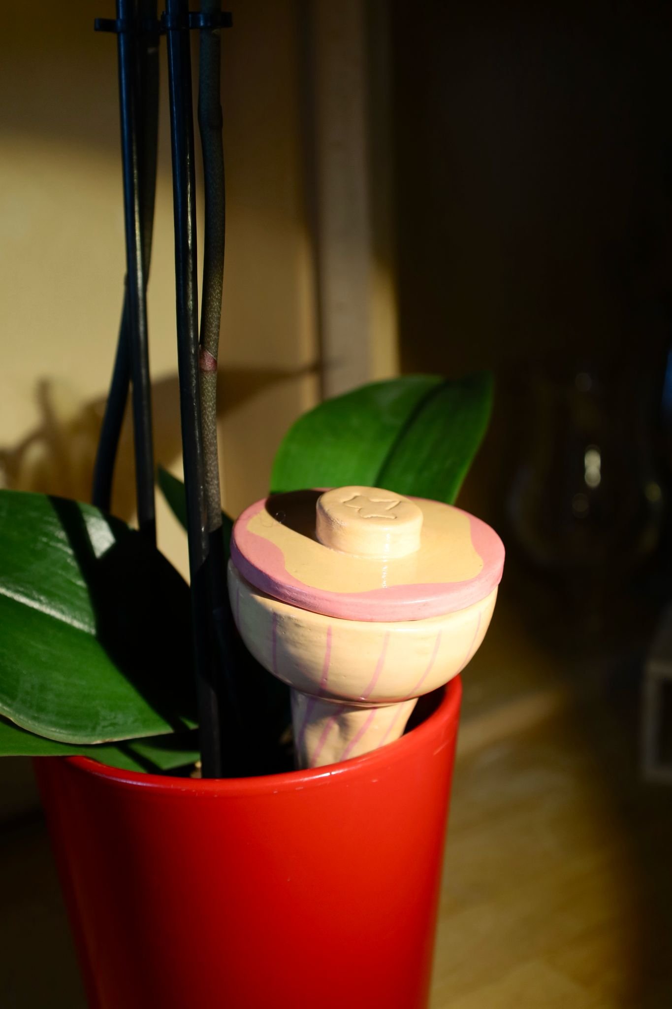 Diffuseur d’eau naturel