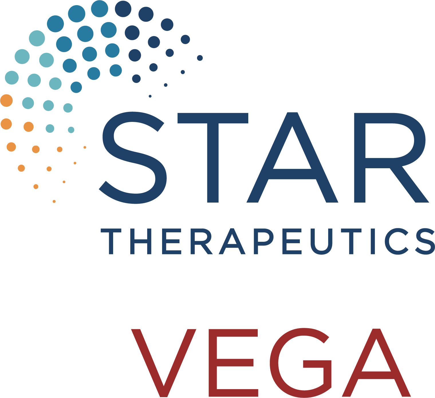 Logo: Vega