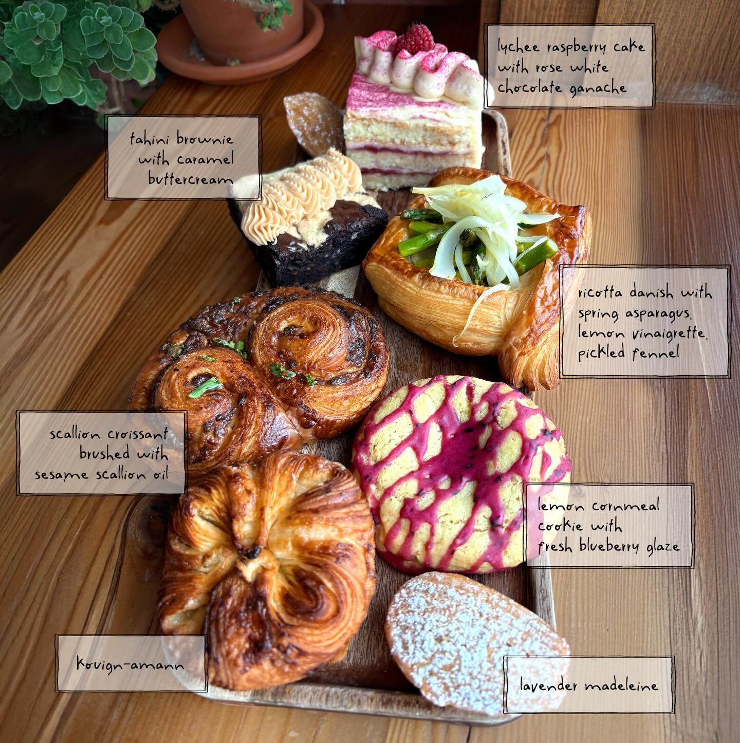 The spring pastry lineup is here, and it&rsquo;s dazzling! 

From the top: 

🍰 Lychee raspberry cake with rose white chocolate ganache

🤎 Tahini brownie with caramel buttercream

🍋 Lemon cornmeal cookie topped with a fresh blueberry glaze

💚 Rico