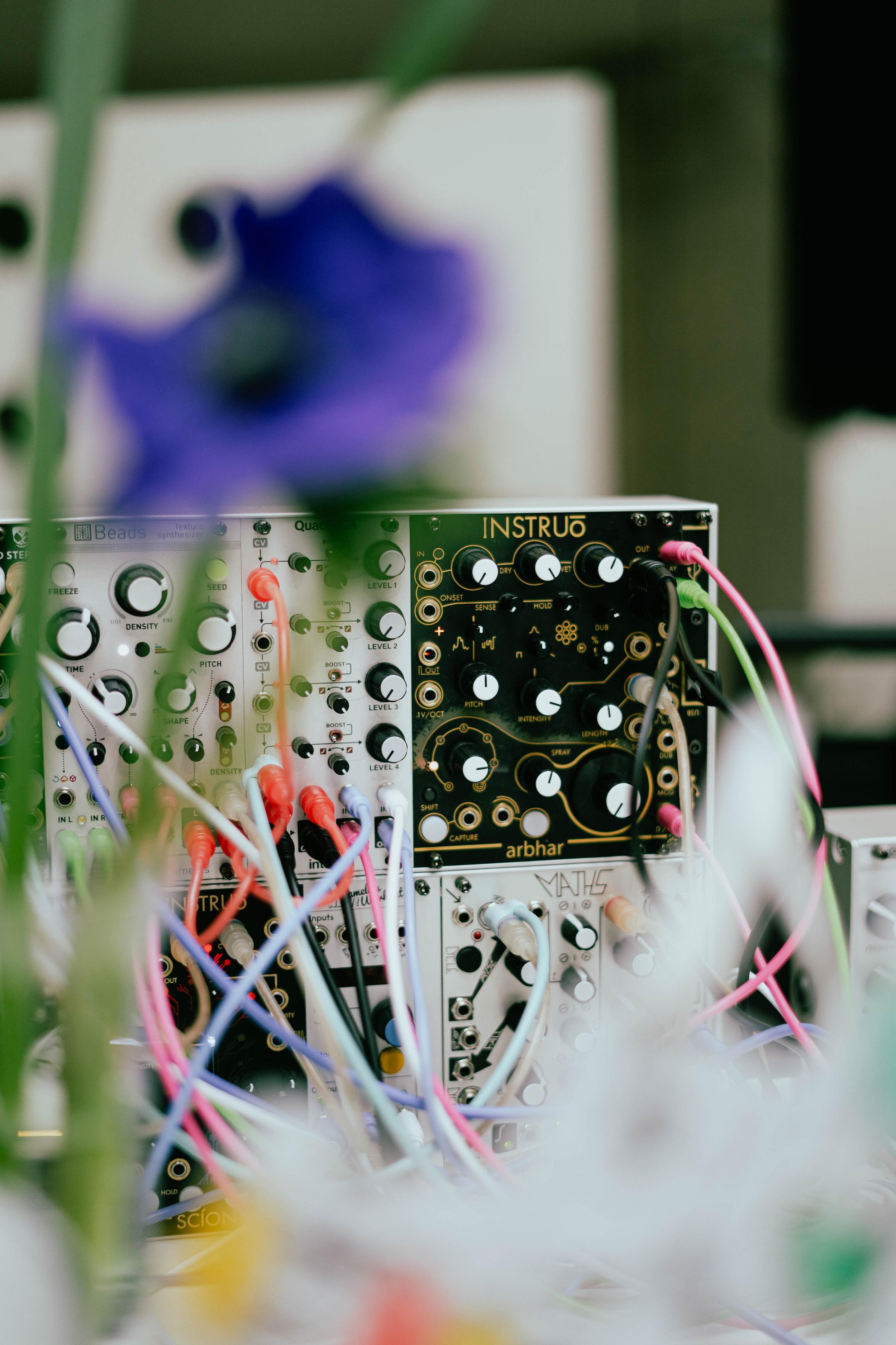 Botanika - Adolfo Dominguez - 05.jpeg