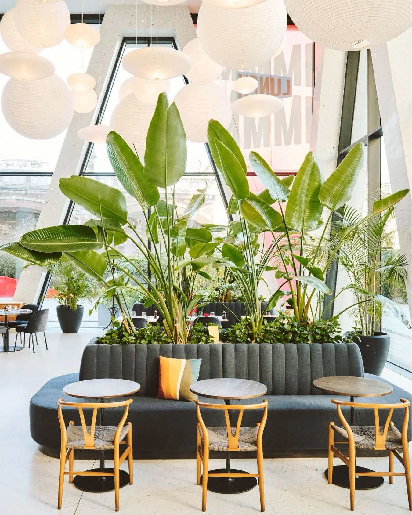 Idee&euml;n hangen hier in de lucht 💡

Tussen het licht en het groen komen gesprekken vanzelf op gang.

De plek waar je vertraagt, oplaadt en vol inspiratie weer verder gaat. ✨

#mediacafe #goodfood #inspiration #lunchmeeting #ideas