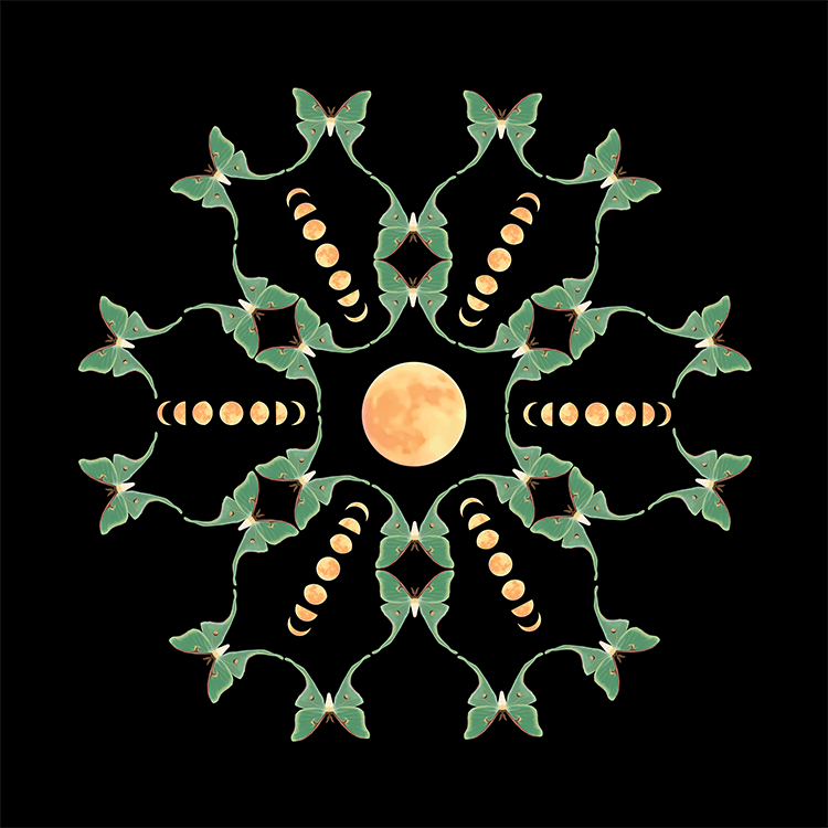 Luna Moth Mandala
