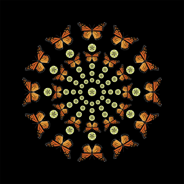 monarch_mandala_lowres.png