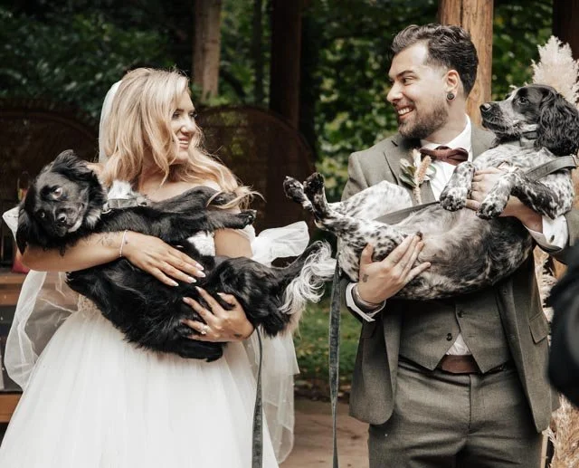 Bride and groom holding dogs at wedding ceremony outdoors