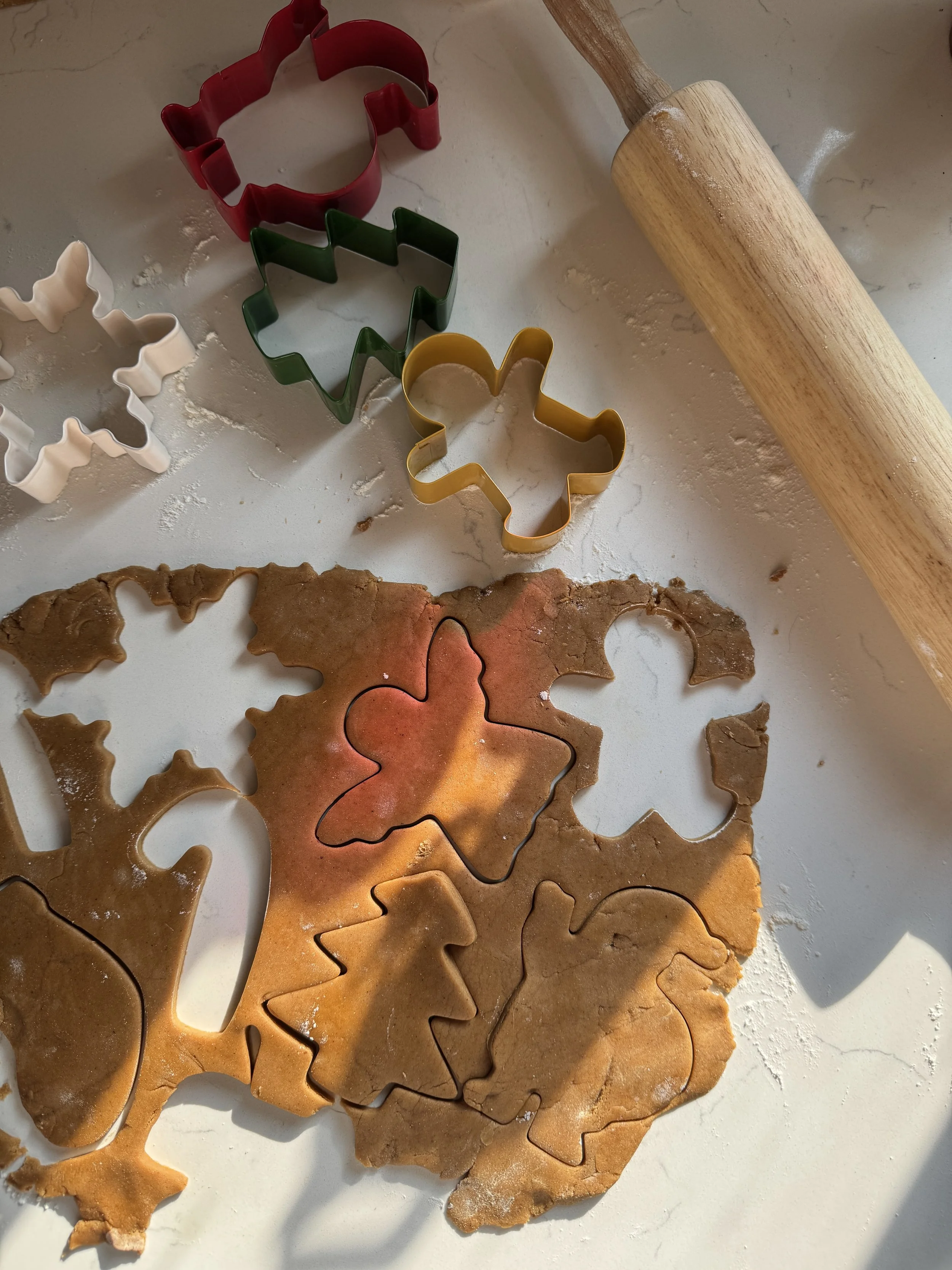 Quick Tips to Stay Healthy &amp; Toxin-Free During the Holidays