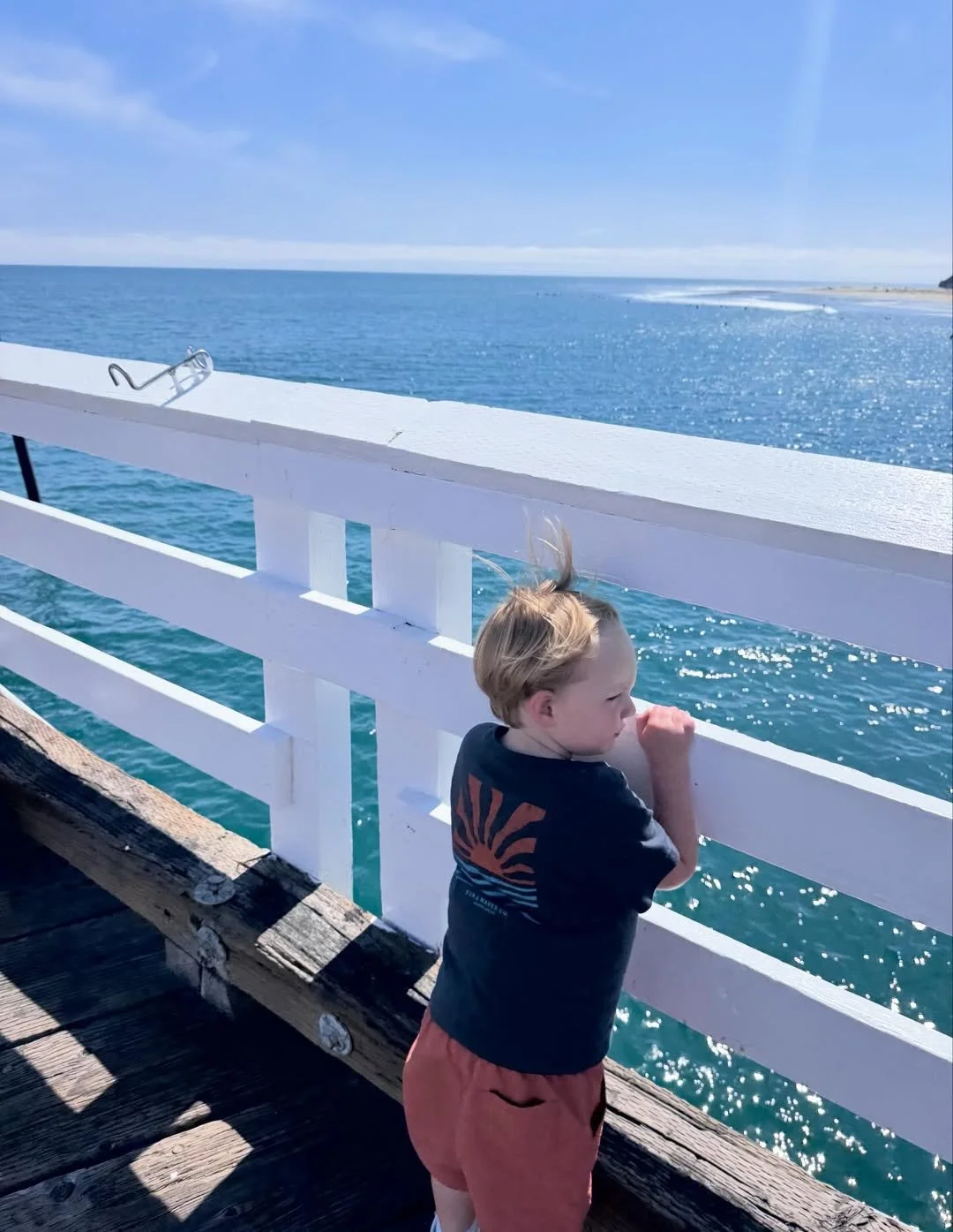 amy-boland-hauser-toddler-watching-ocean-malibu-pier-malibu-ca.jpg