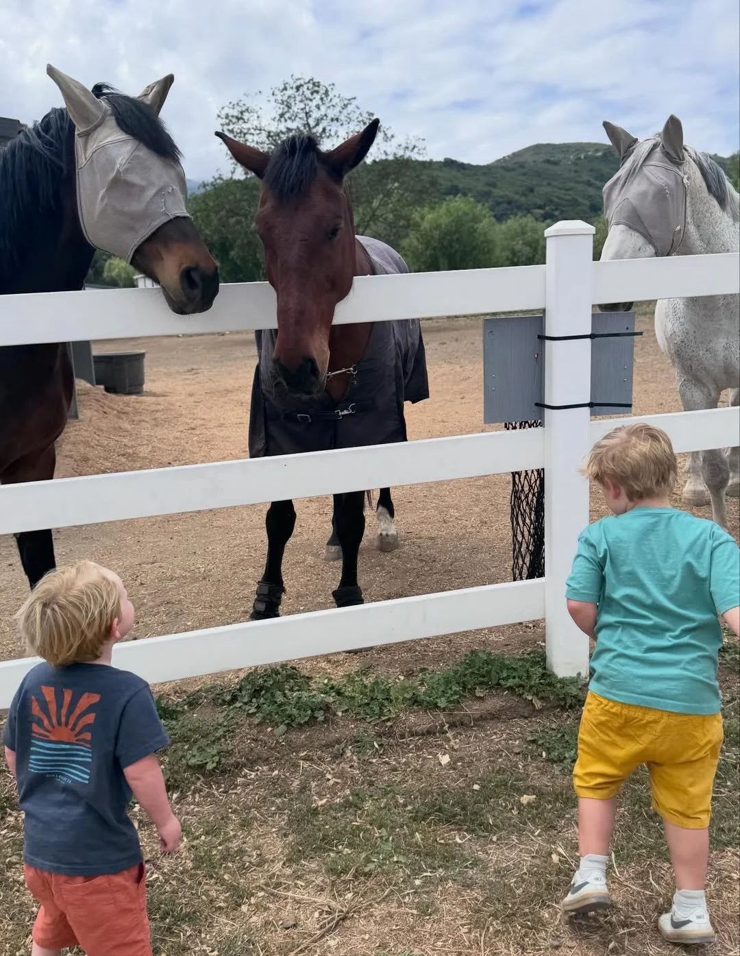 amy-boland-hauser-boys-looking-at-horses-white-fence-malibu-ca.jpg