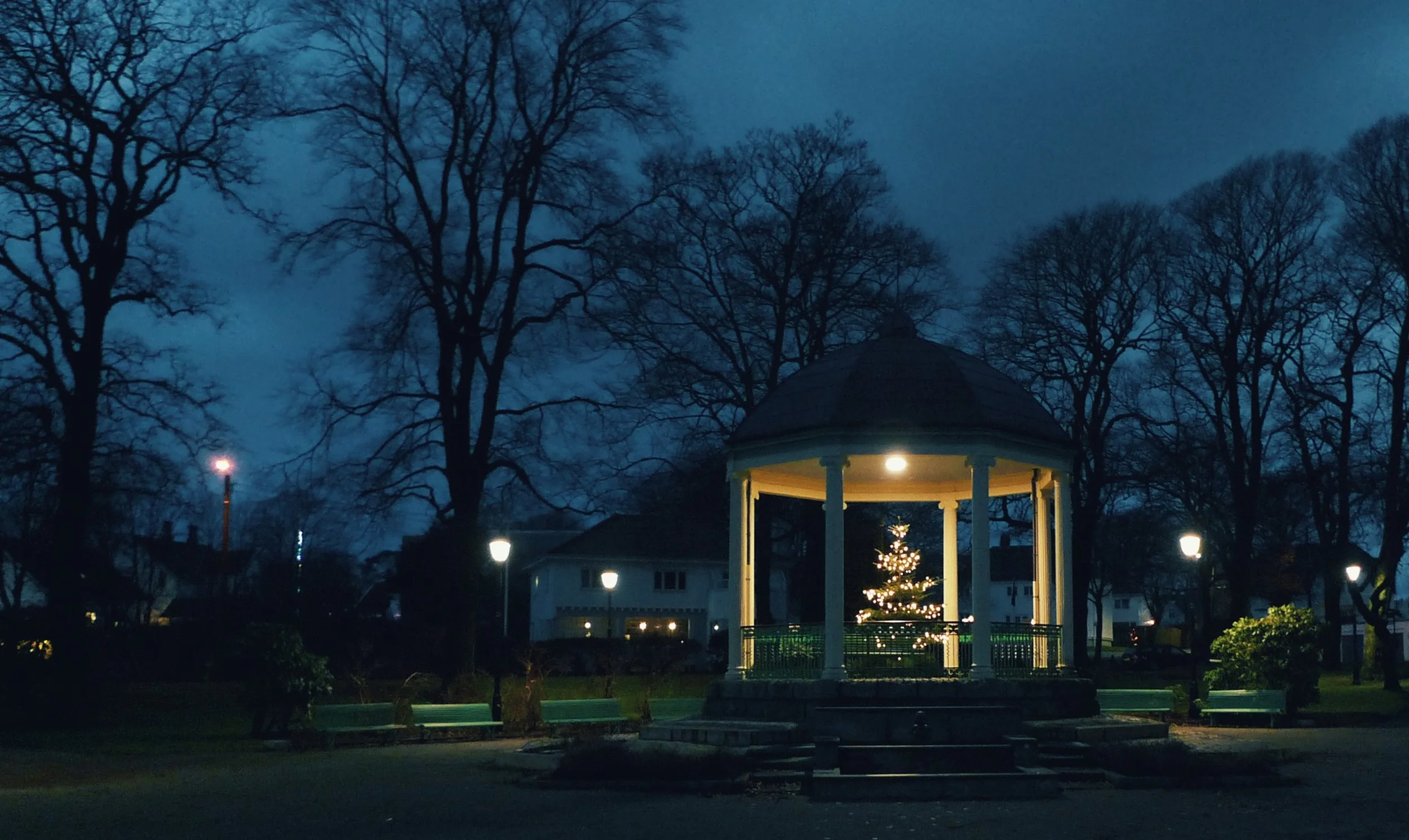 A park scene at dusk with a gazebo containing a lit Christmas tree, surrounded by leafless trees and park benches, and streetlights illuminating the area.