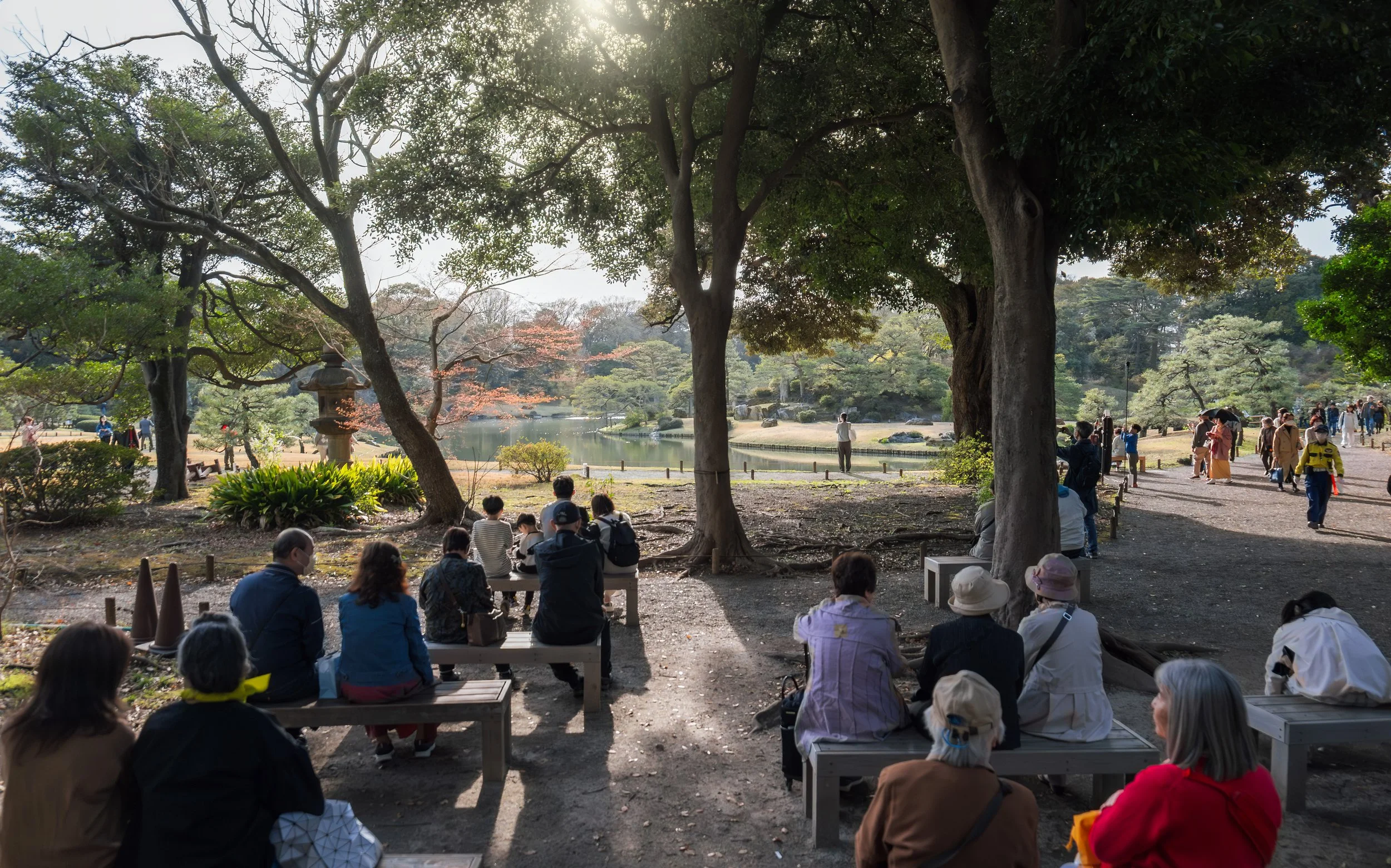 People sitting and walking in a park near a pond, surrounded by trees and greenery for a peaceful outdoor scene.
