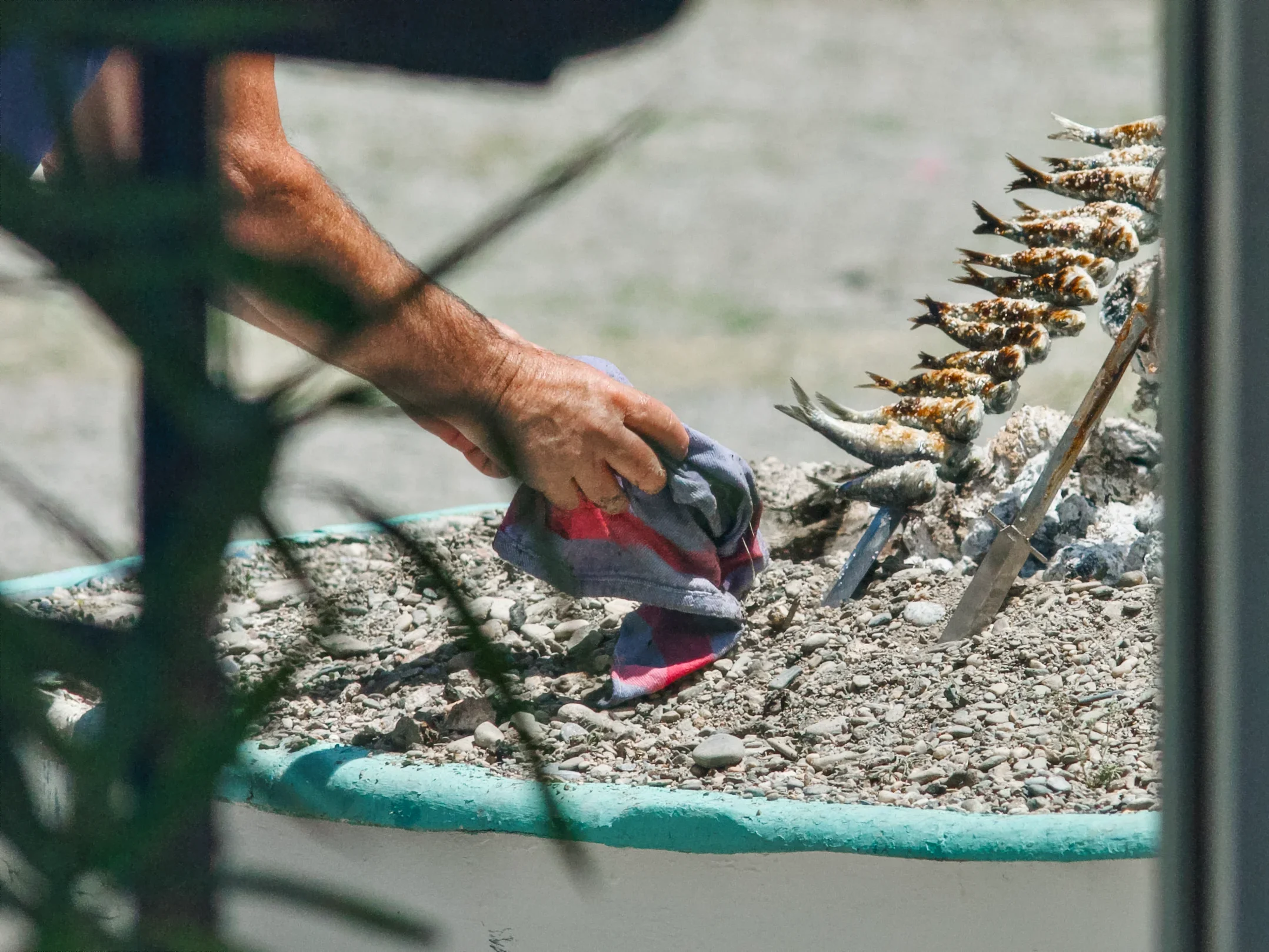 Grilling_fish_hands_beach.webp