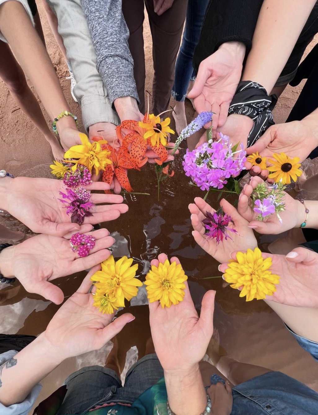 A circle of women's hands, each holding flowers of different kinds.