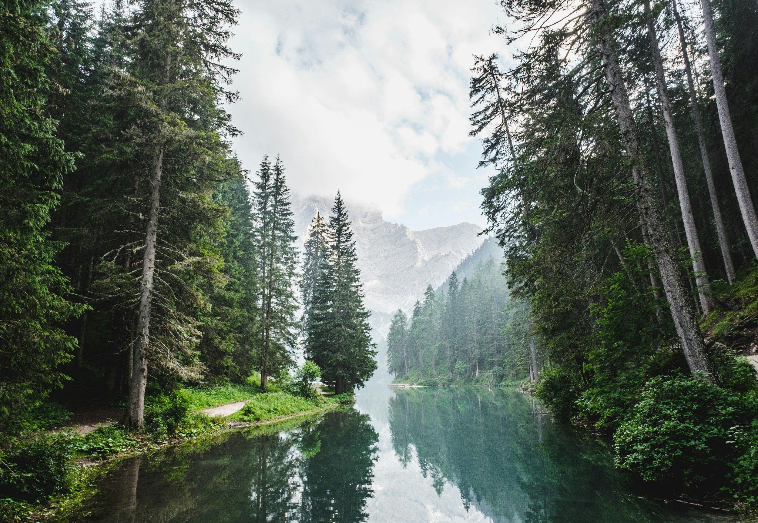 A Holistic Approach to Mental Health
