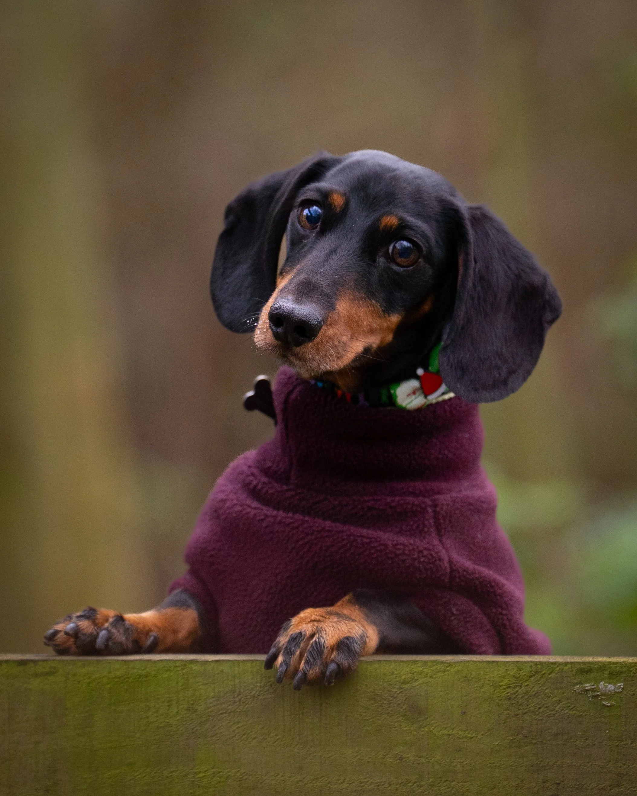 Doug & Ron Highwoods-71.jpg