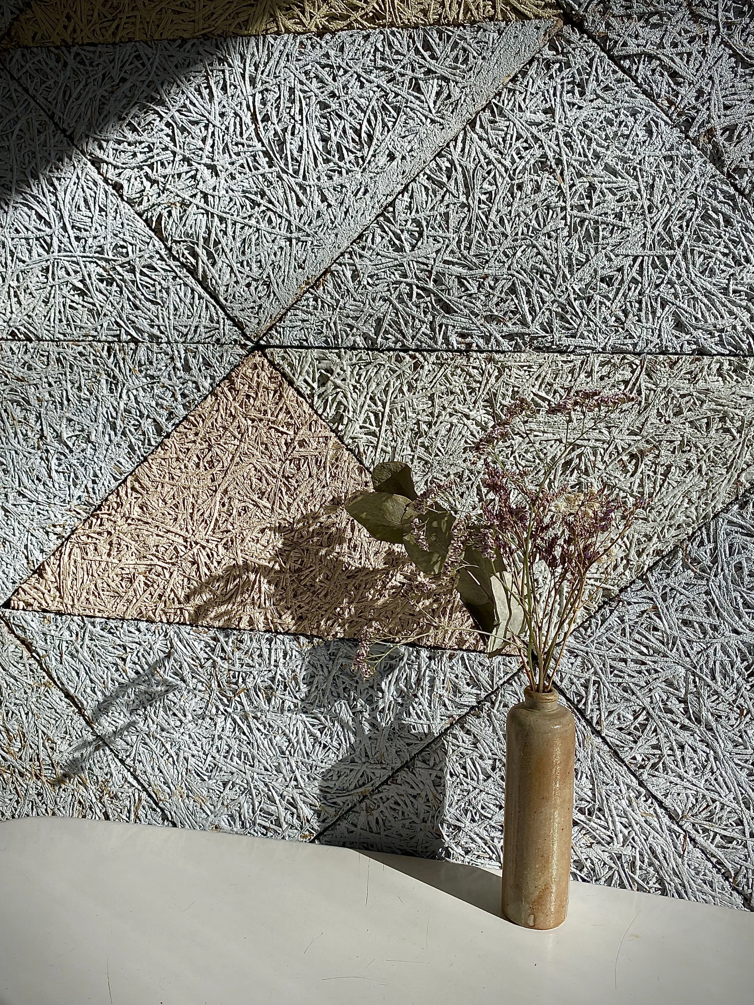 IMG_7381.jpeg