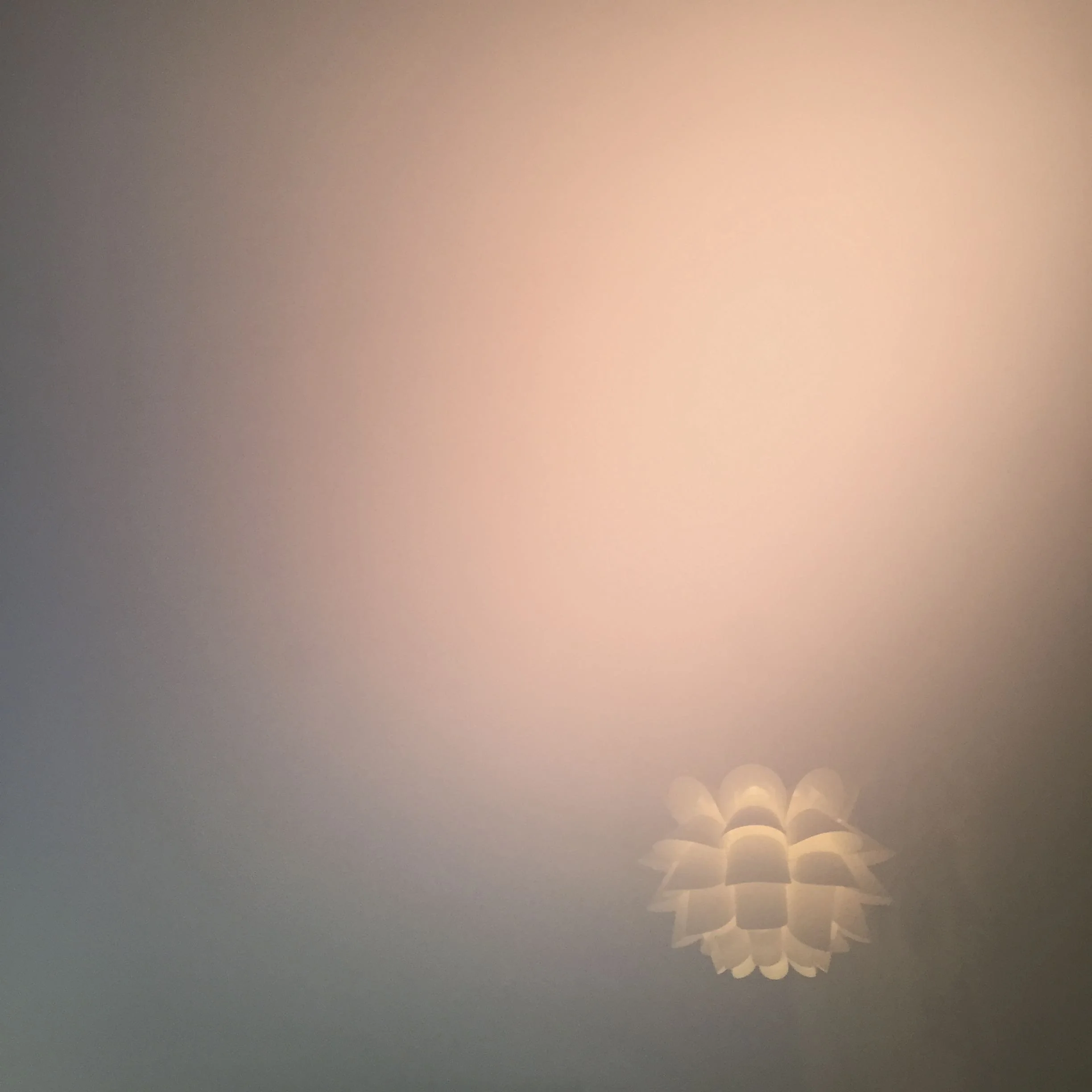 IMG_7344.jpeg