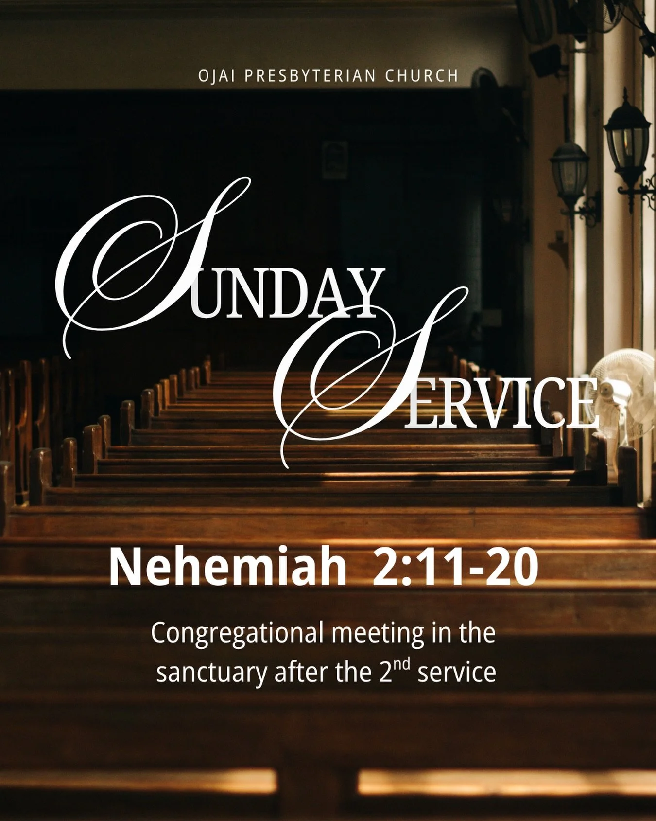 Nehemiah Chapter 2: The strength that comes from belonging. We are also excited to celebrate several baptisms this Sunday as the beginning of belonging to a new story