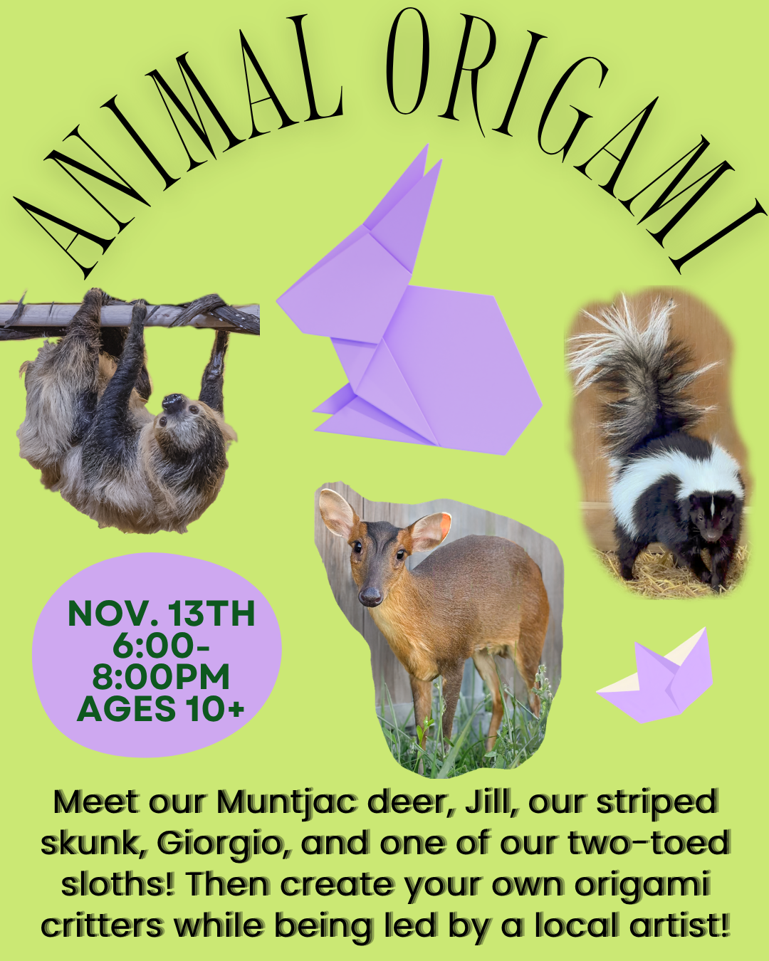 Art & Animals- Origami new.png