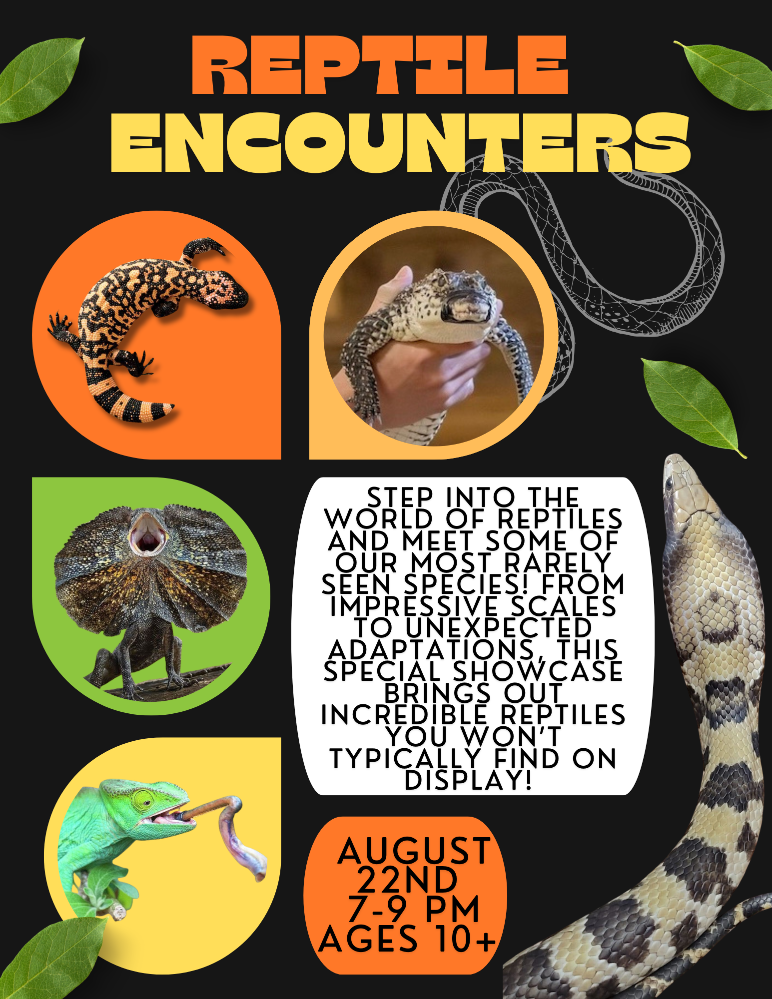 Reptile Encounters August 2026 (1).png