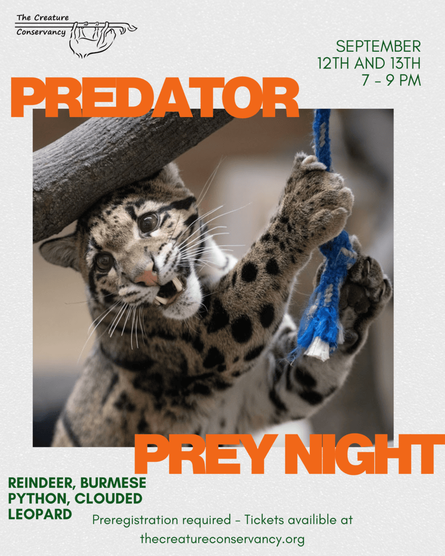 Predator & Prey