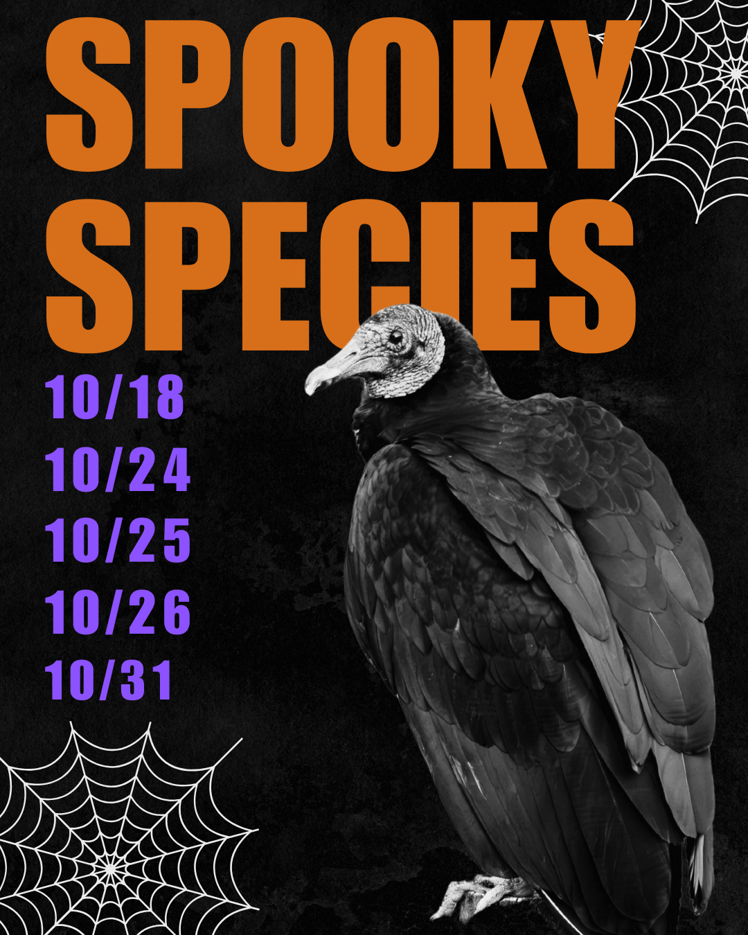 Spooky Species - Adult
