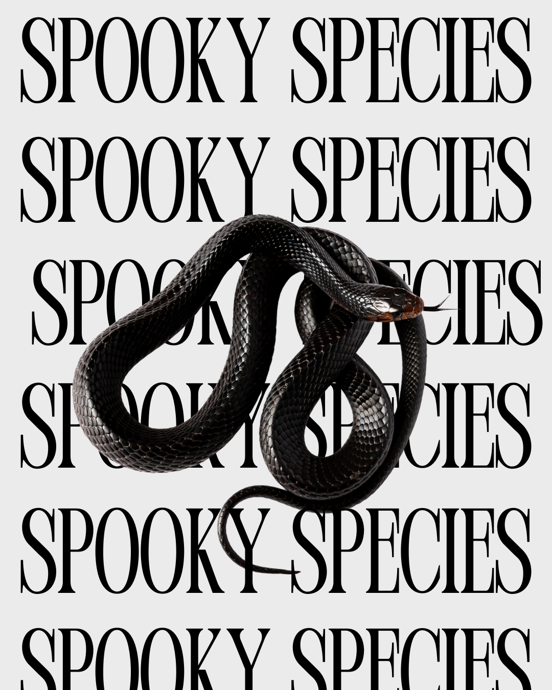 Spooky Species - Family