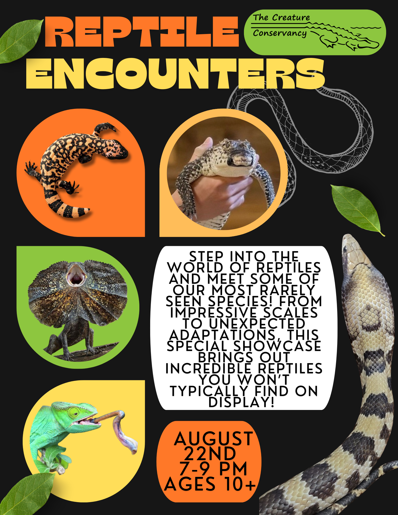 Reptile Encounters