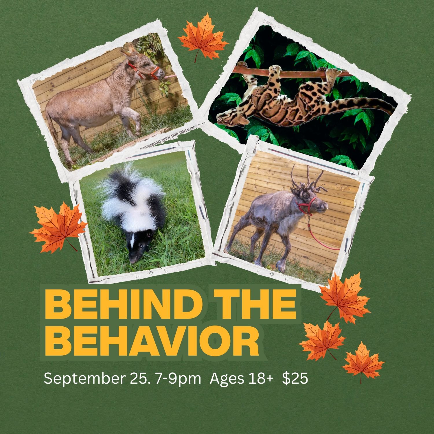 Behind The Behavior