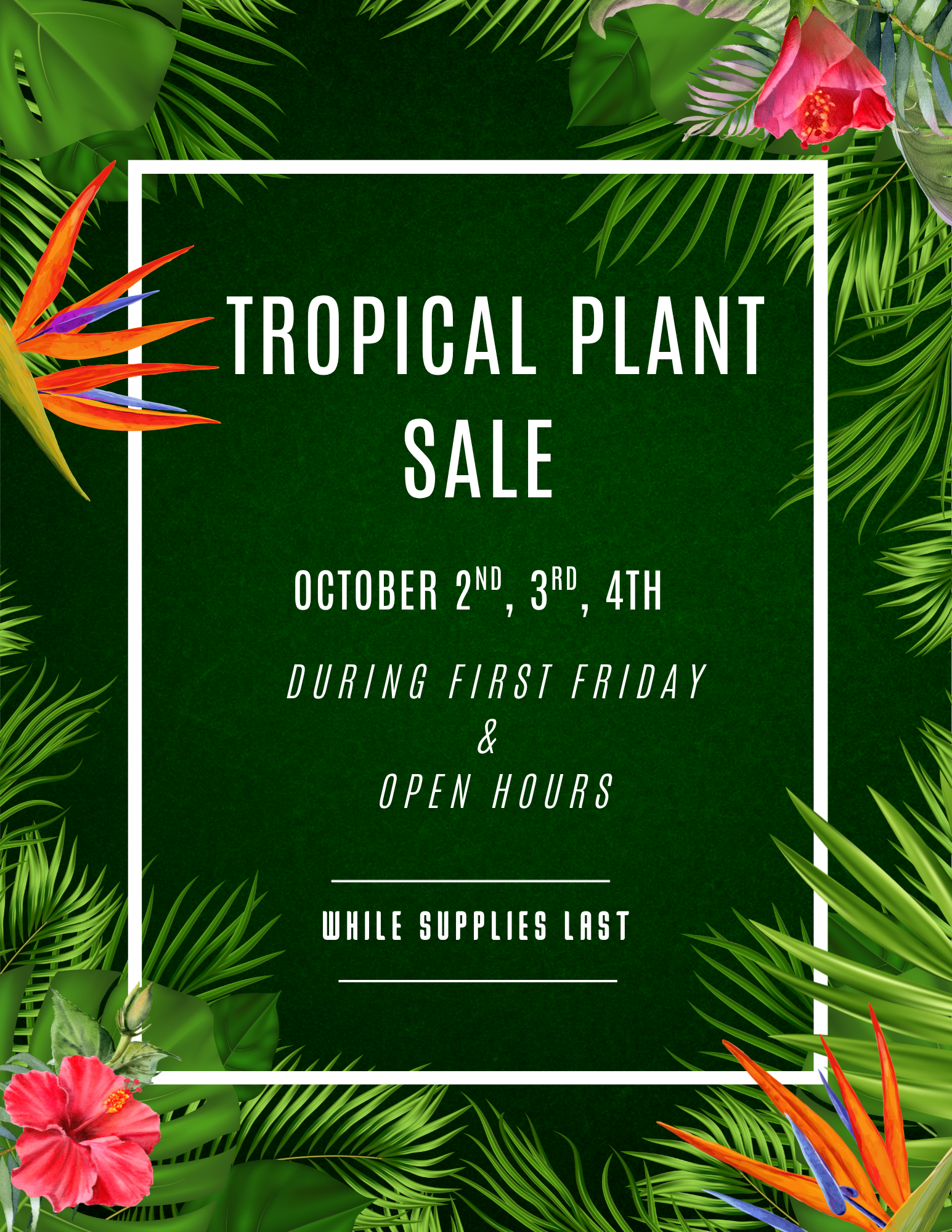 Tropical House Plant Sale - October 2nd, 3rd, 4th