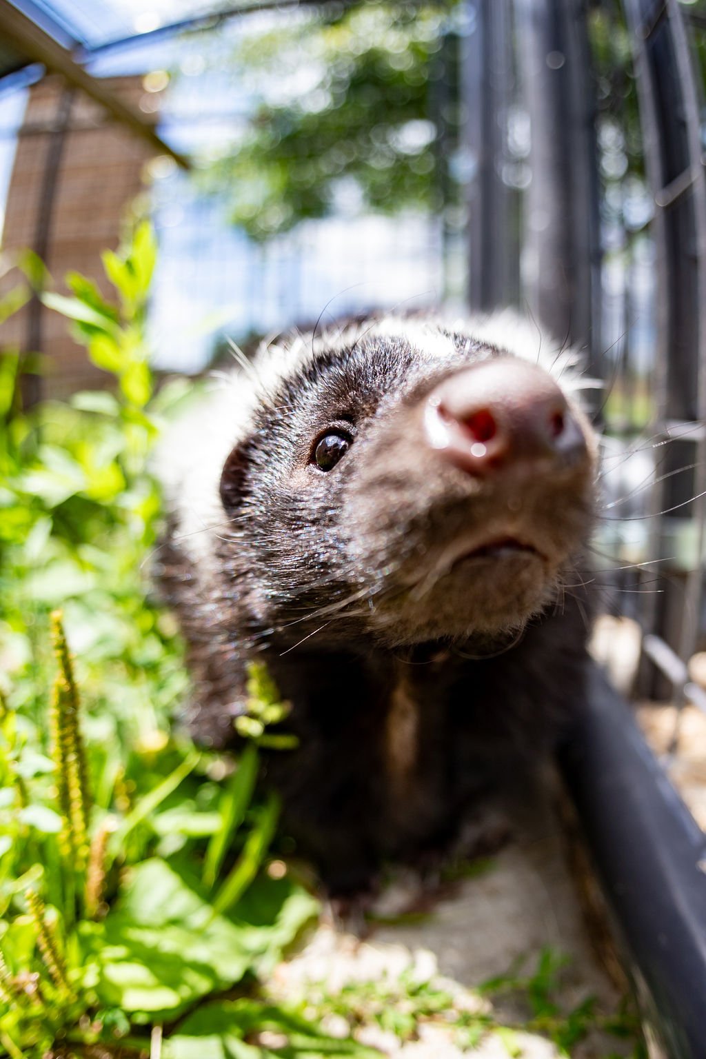 Open Hours — The Creature Conservancy