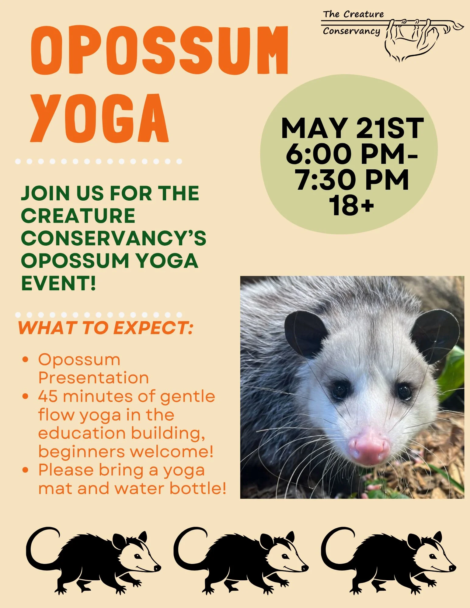 Opossum Yoga 2.jpg