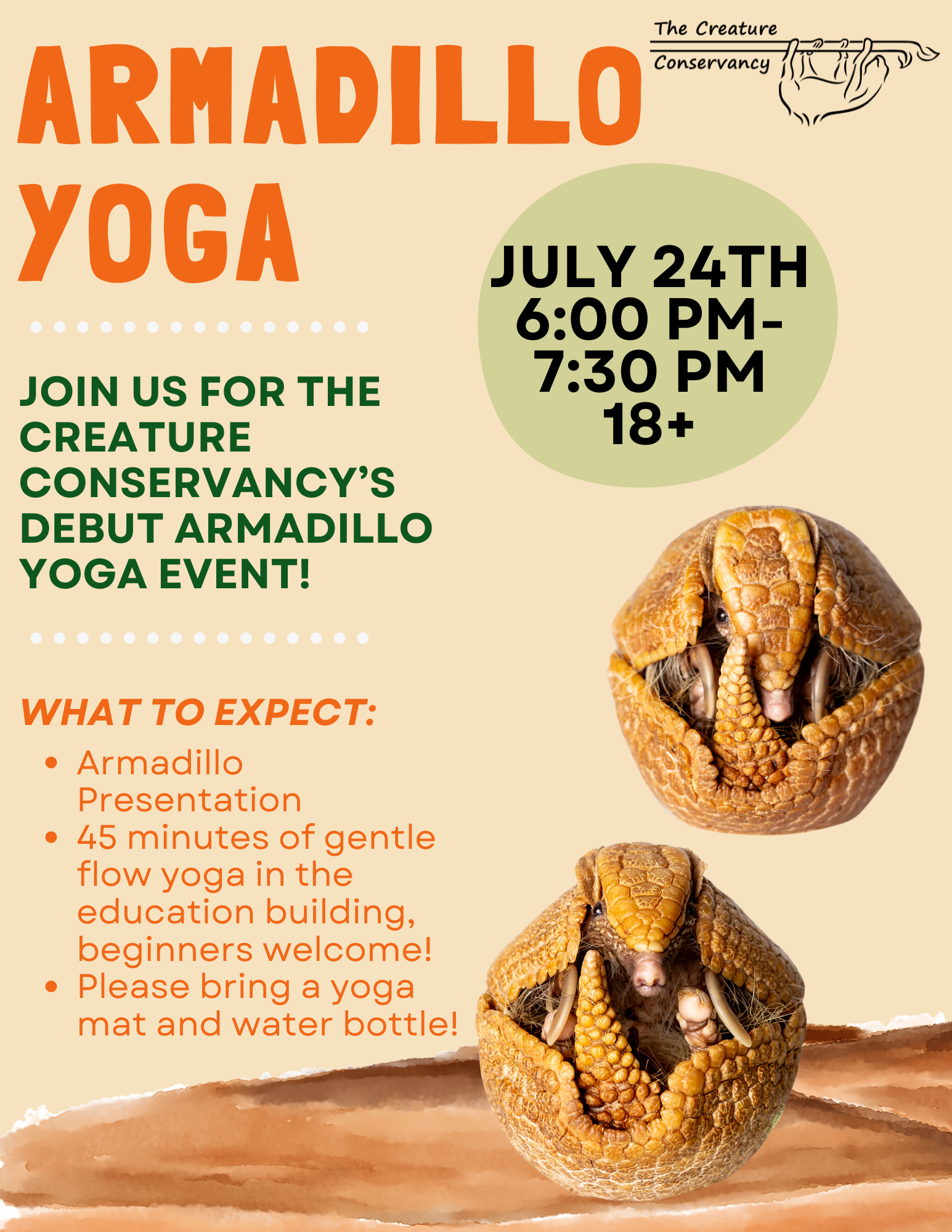 Armadillo Yoga