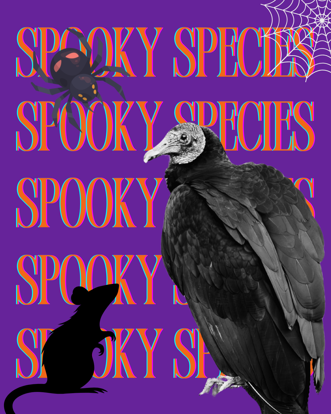 Spooky Family.png (Copy) (Copy)