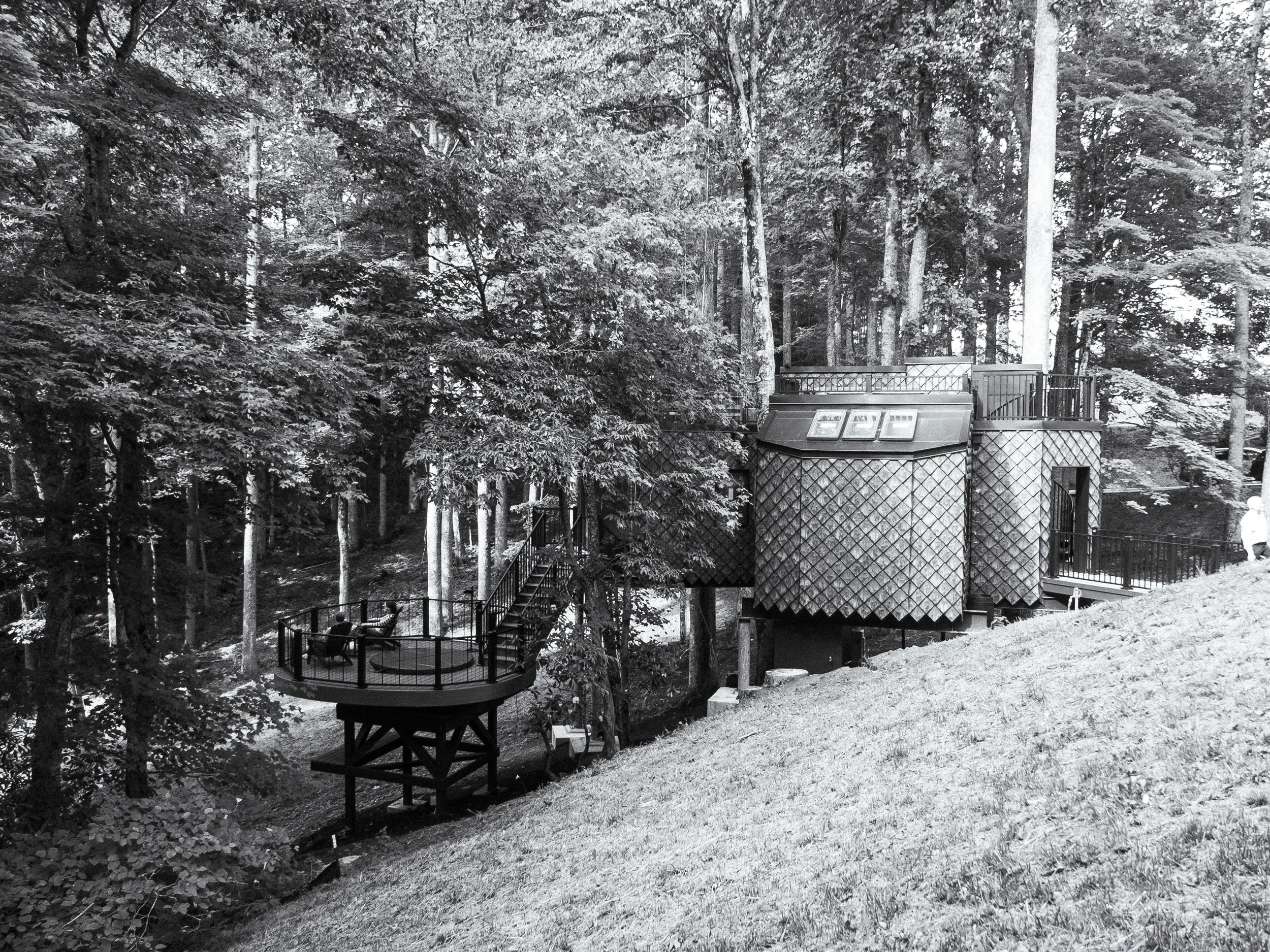 BaW Treehouse.jpg