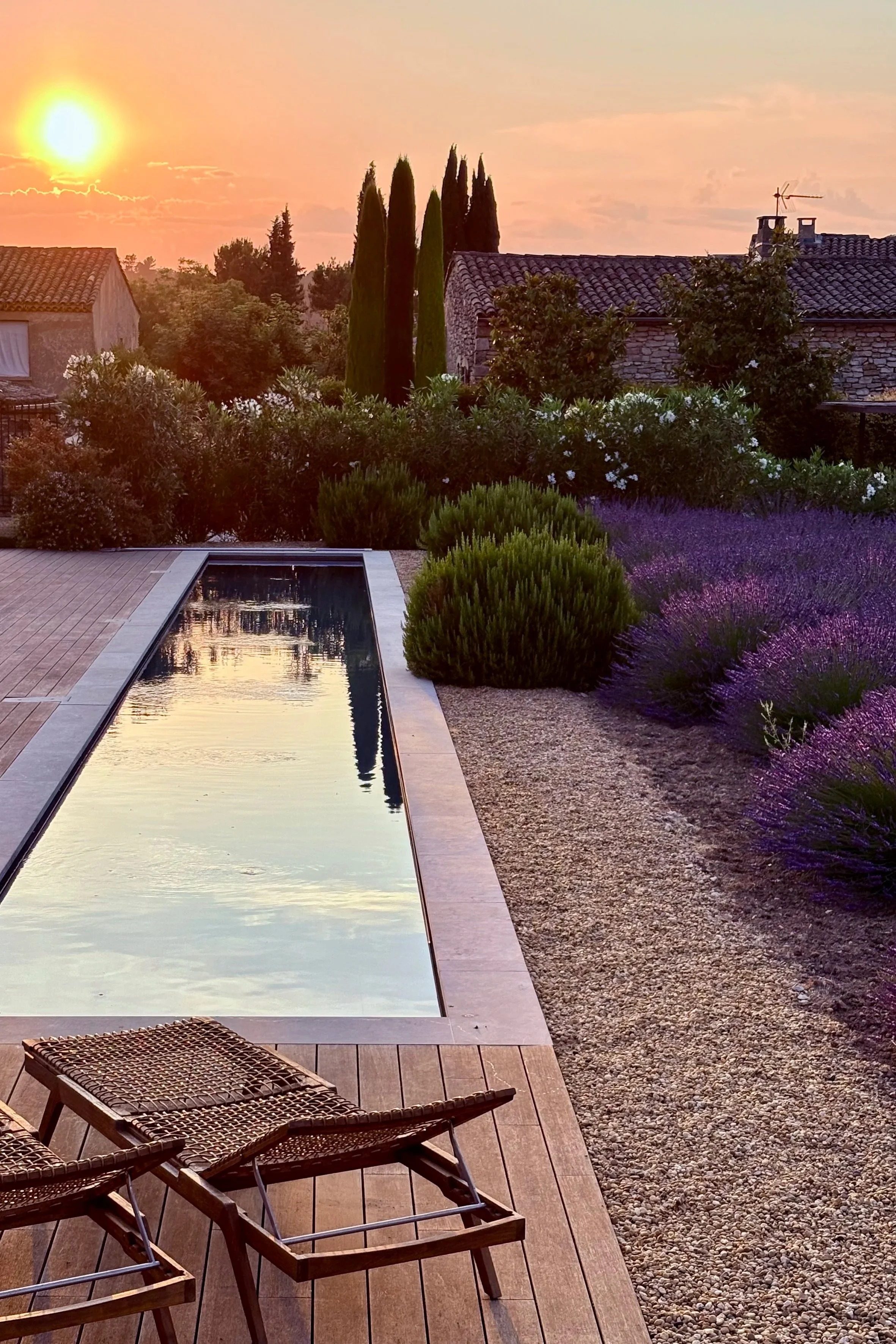 Exterior photo showing the pool and how the garden has progressed since the completion of the main project.  Lavender, rosemary and oleander grow in abundance.