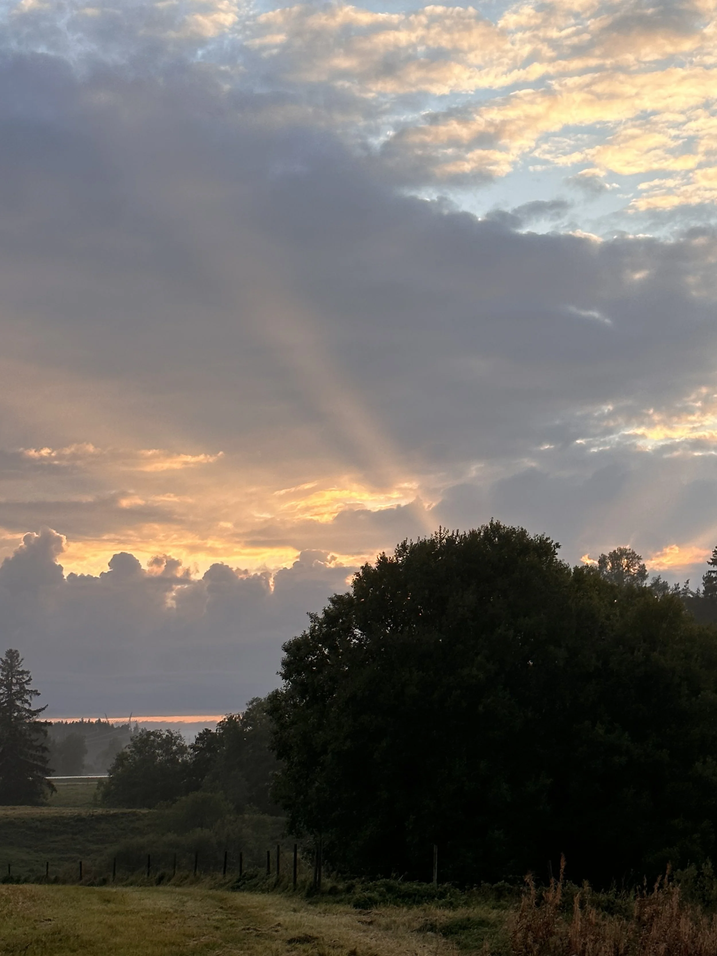 Miten saada työ ja arki balanssiin?