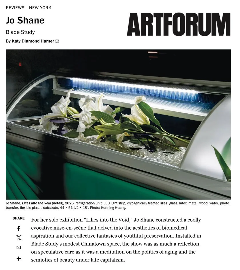 Artforum Review of Jo Shane, Blade Study (2025)