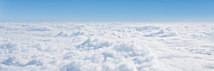 Who Do You Say That I am?